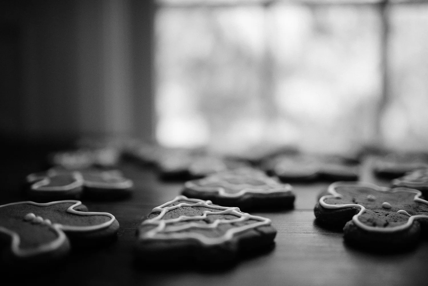 pittsburgh family photographer-13.jpg