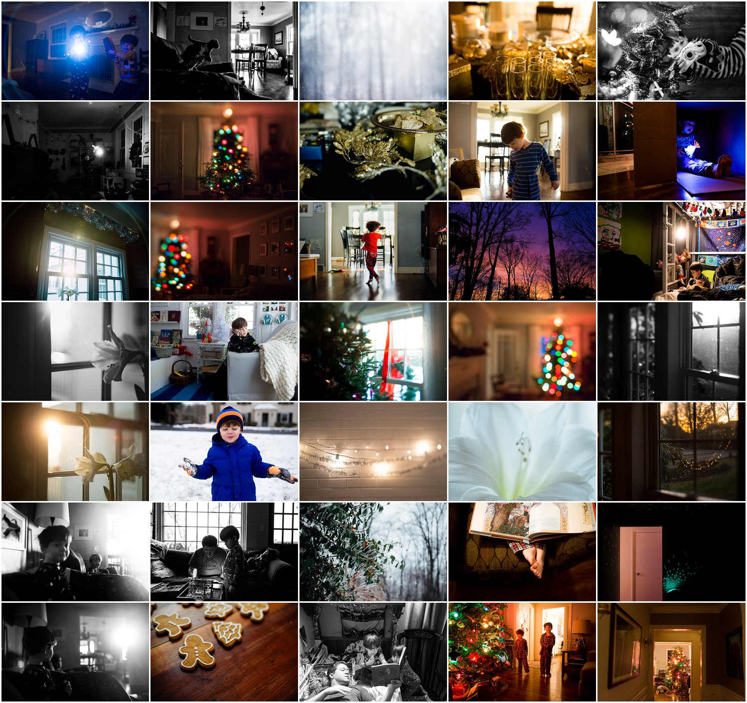 pittsburgh family photographer 366 project