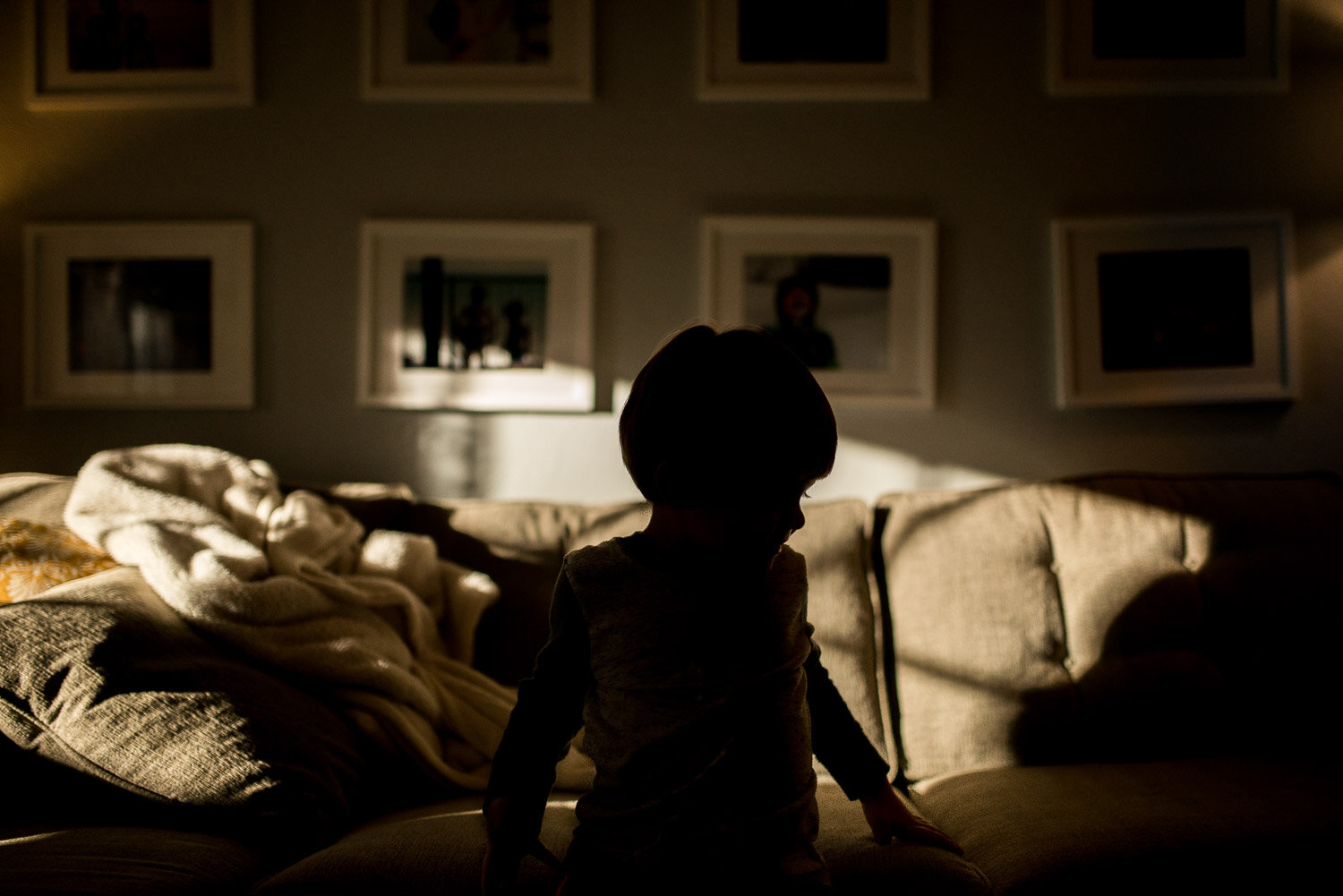 cocoon_nov2018-6.jpg