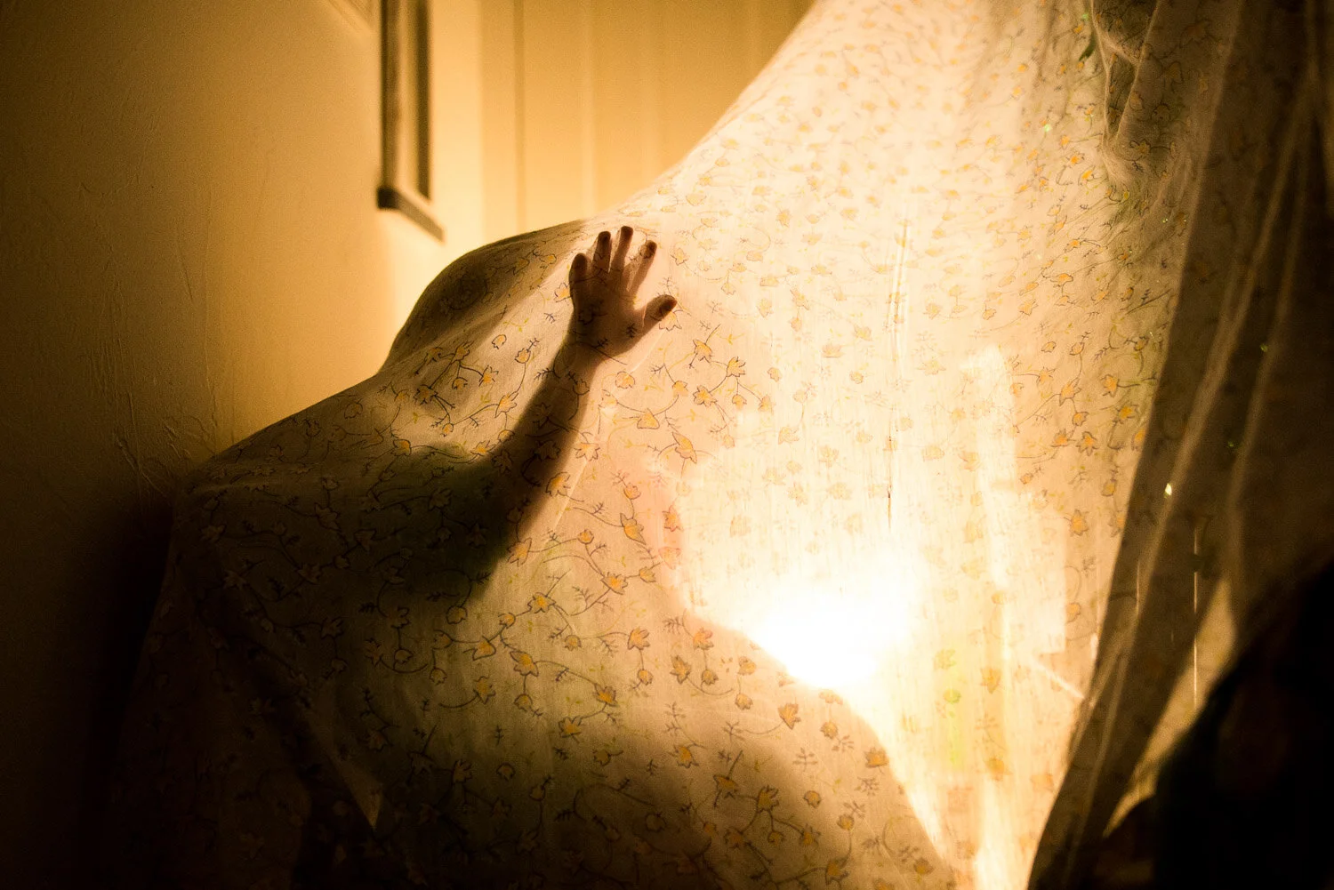cocoon_nov2018-8.jpg