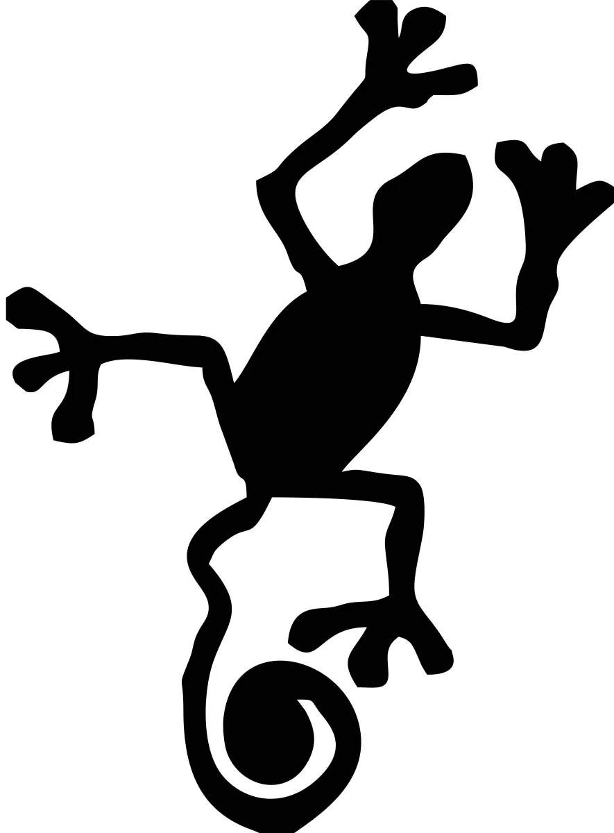 GECKO 2.jpg