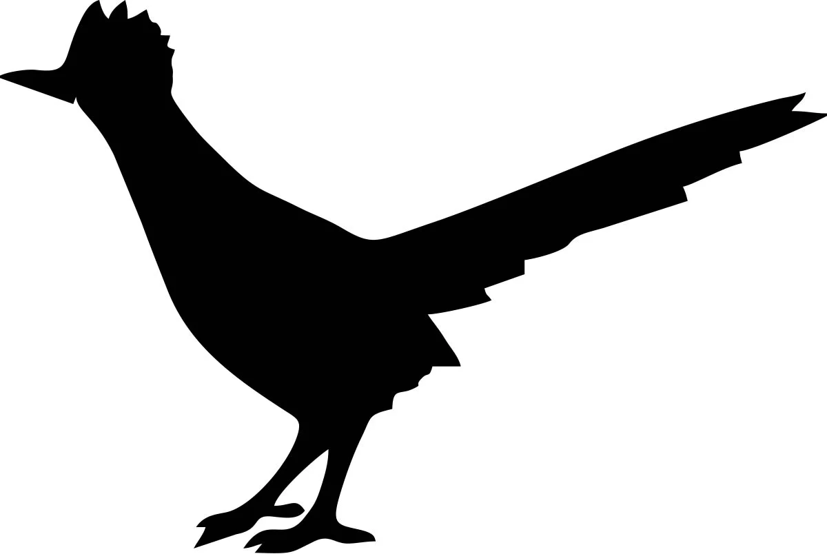 ROADRUNNER.jpg