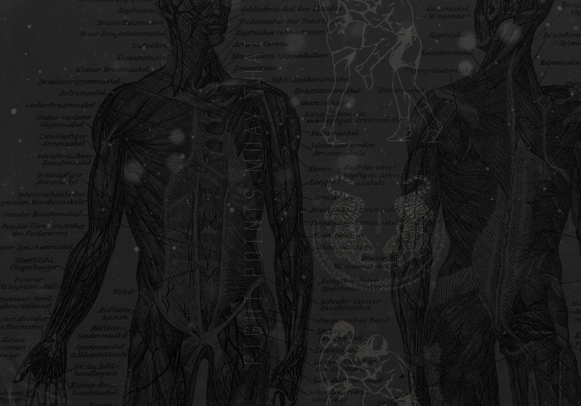 Kru Chris Clodfelter Muay Thai SEMINAR in Cary, NC