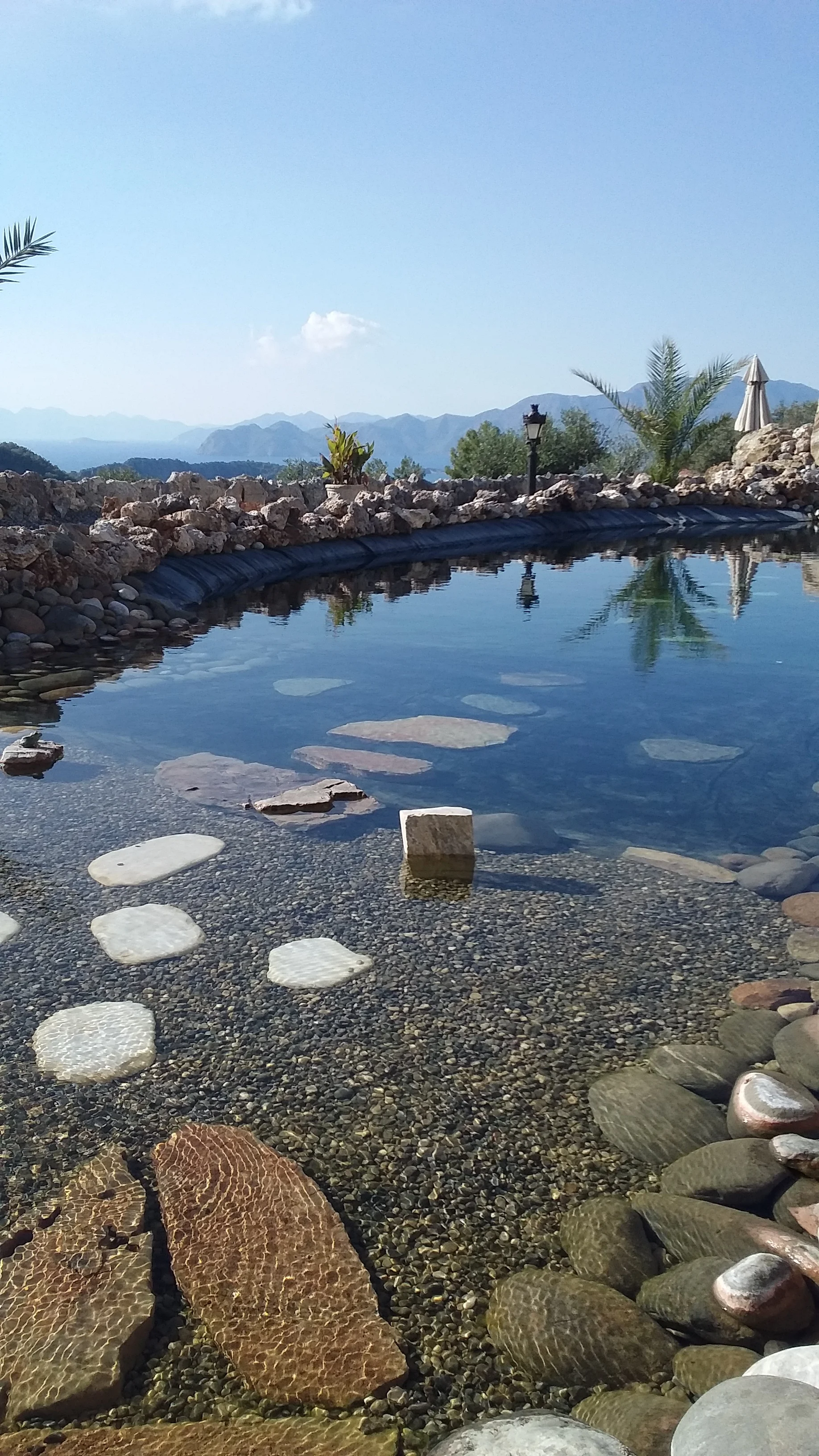 The Rose pool