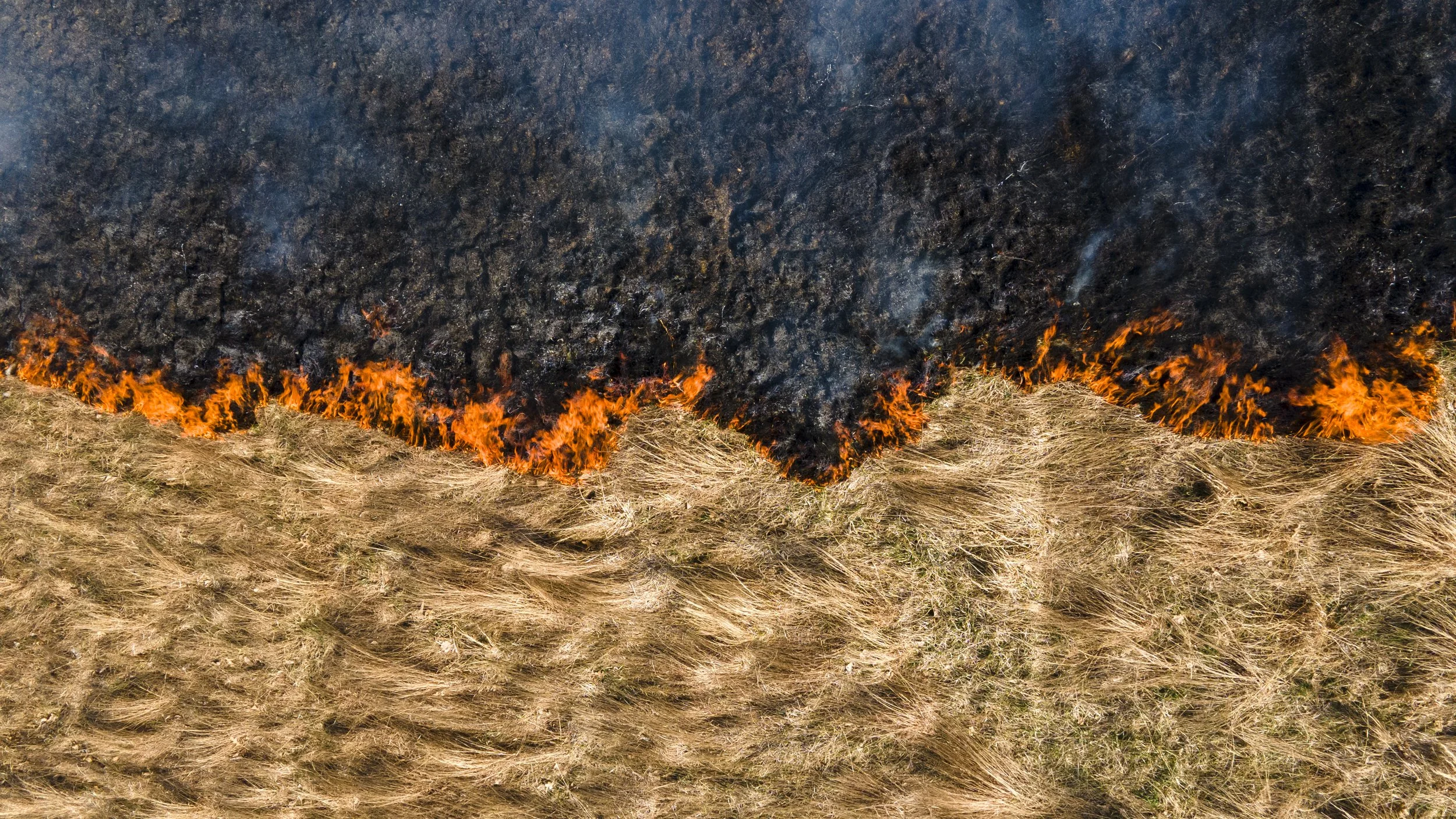 fire_line.jpg