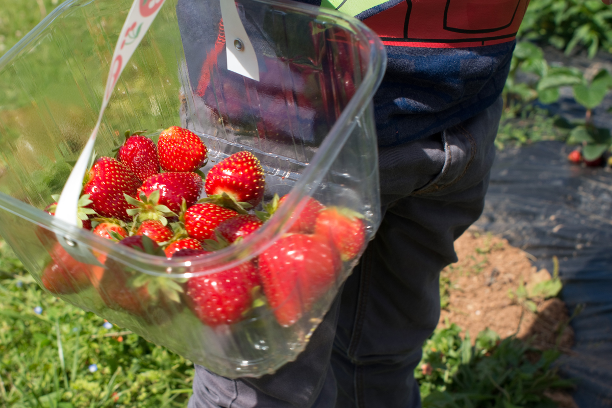 WFP_0334-.jpg