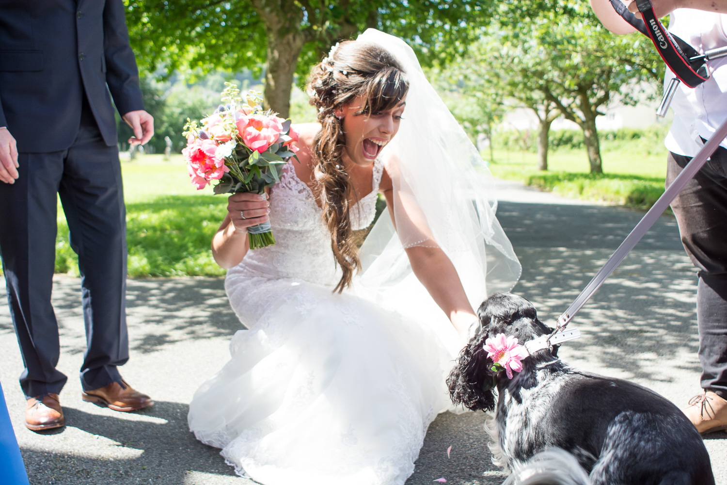 the bride and her dog outside st mary's church plympton plymouth