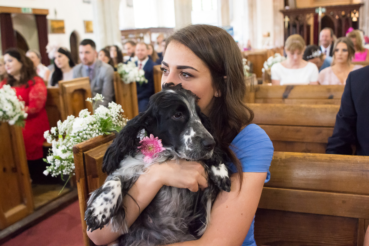 happy tears and doggy snuggles at st marys church plympton plymouth