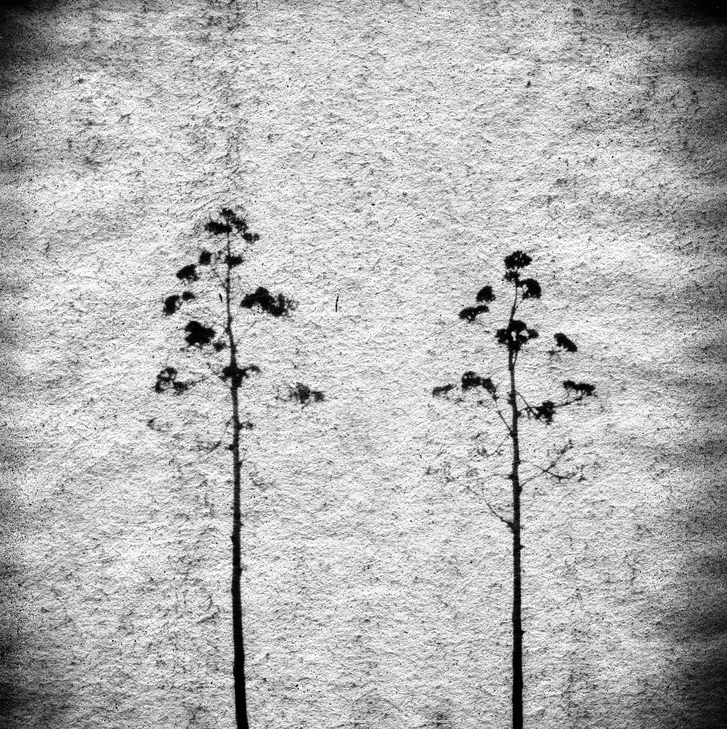 Screen Shot 2020-10-18 at 11.20.08 PM.png