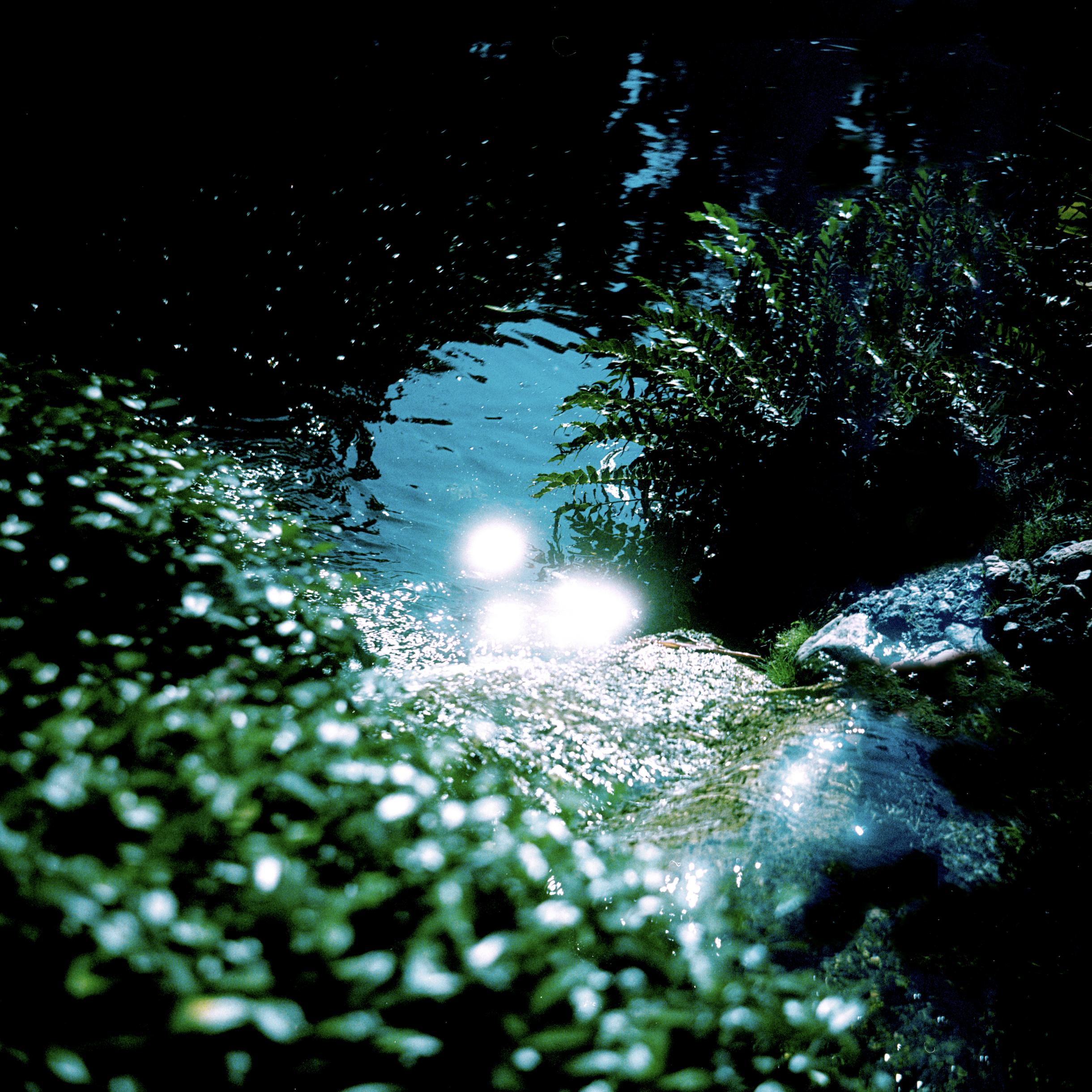 Screen Shot 2020-12-03 at 10.08.53 AM.png