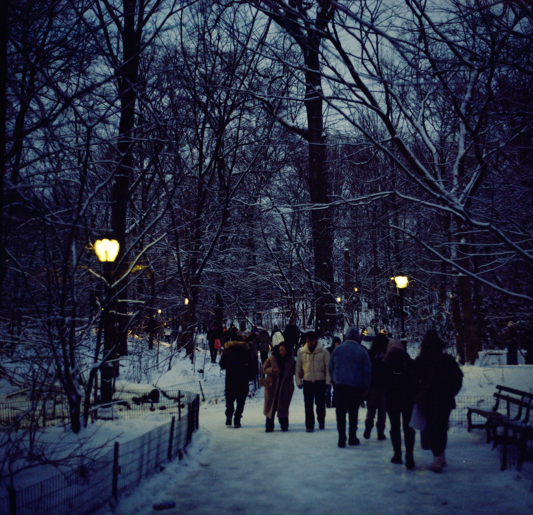 Screenshot 2026-01-13 at 9.06.03 AM.png