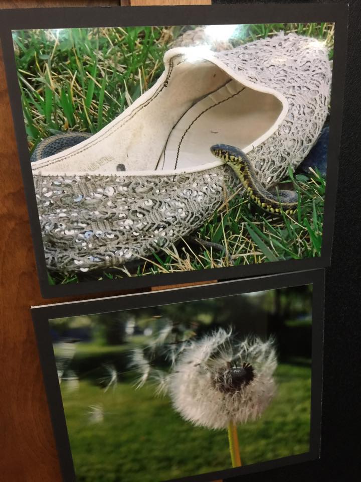 student photos.jpg