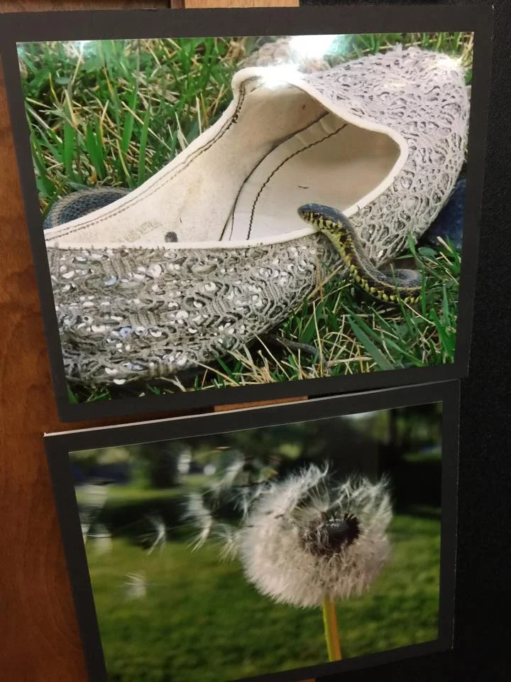student photos.jpg