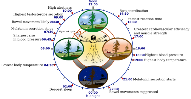 Diagram By NoNameGYassineMrabetTalk ✉ fixed by Addicted04 - Wikipedia