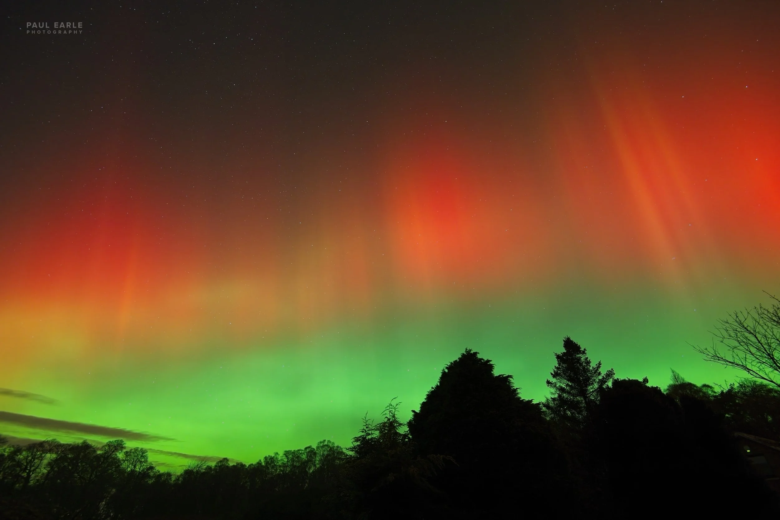 Another Aurora January 2026