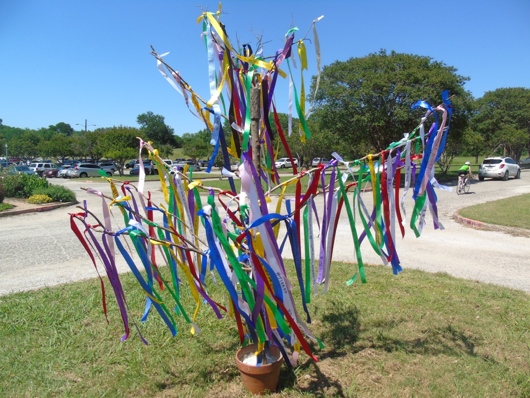 CR at Native Plants Day in N. Texas.May '17.png