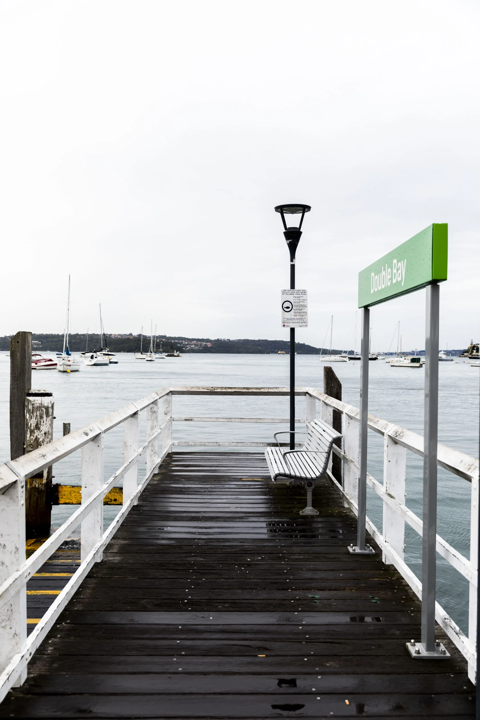 20161017_DoubleBayScenics_3364.jpg