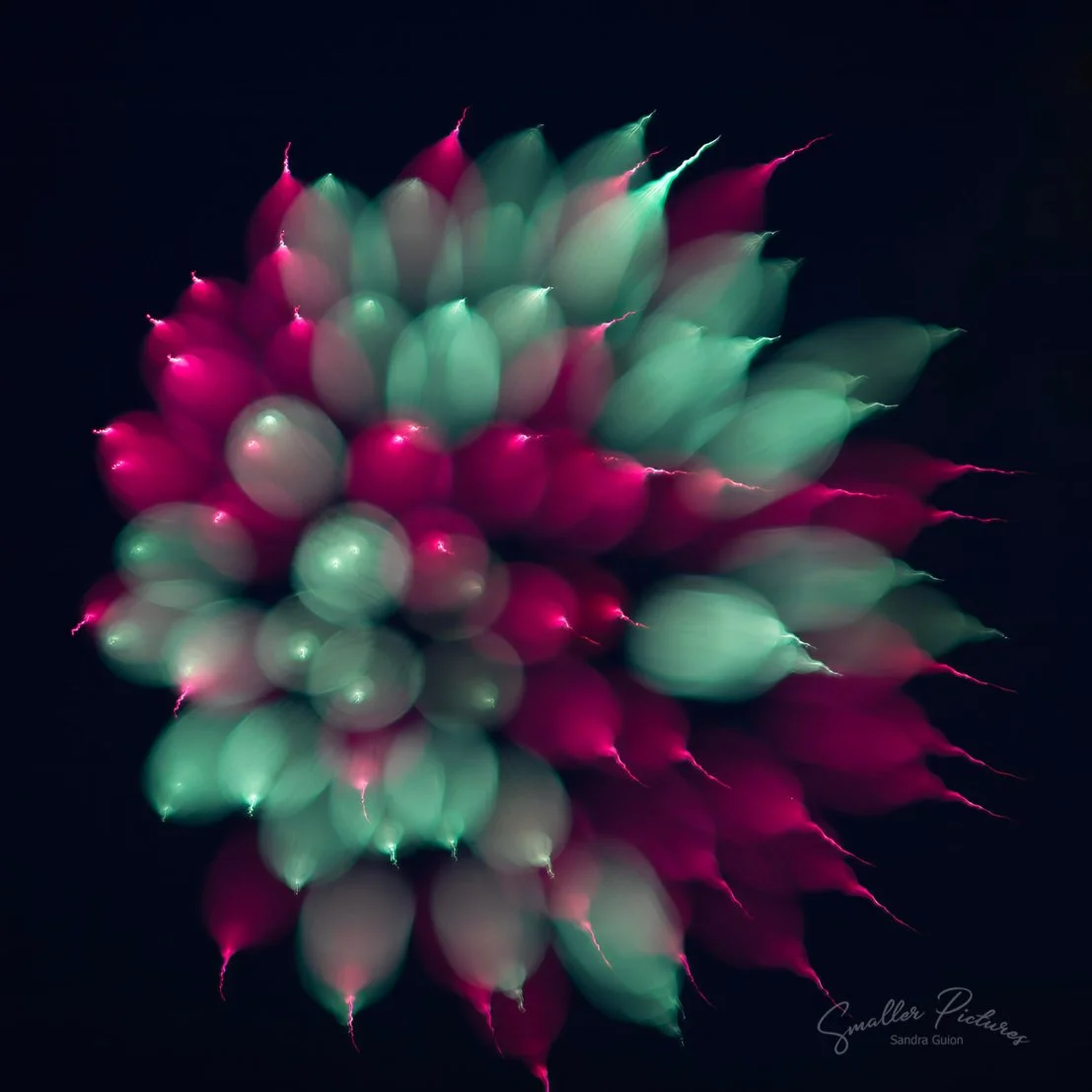 CP2A7224.jpg