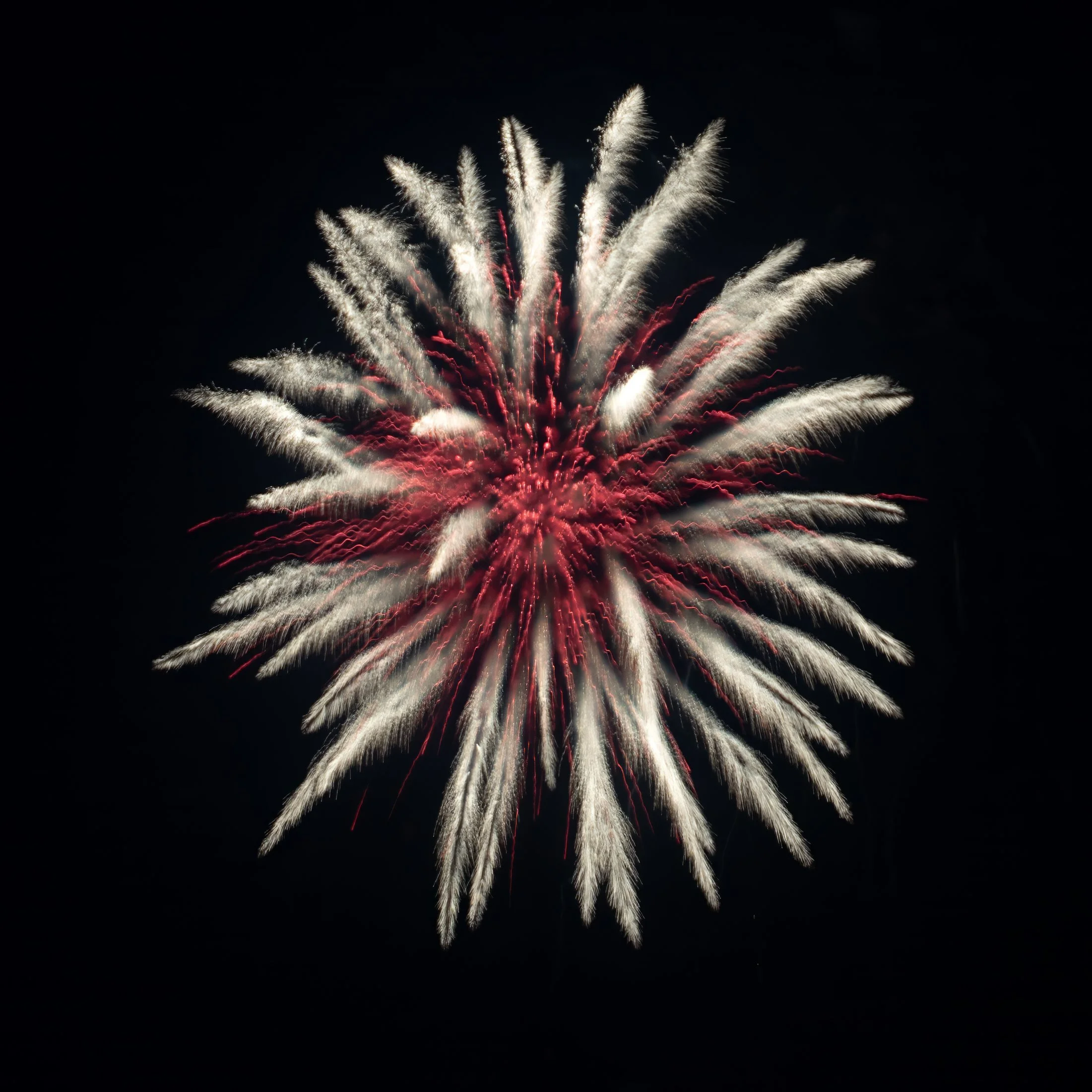 CP2A7428.jpg