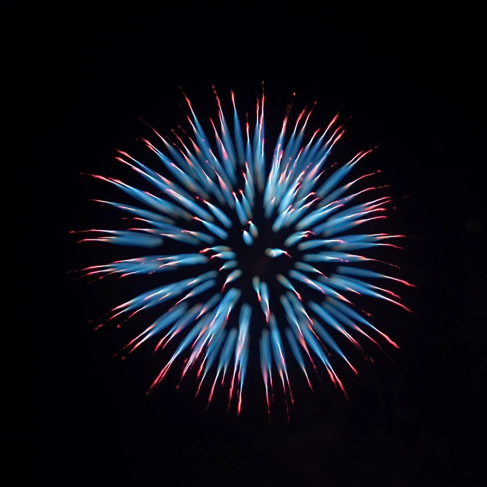 CP2A7455.jpg