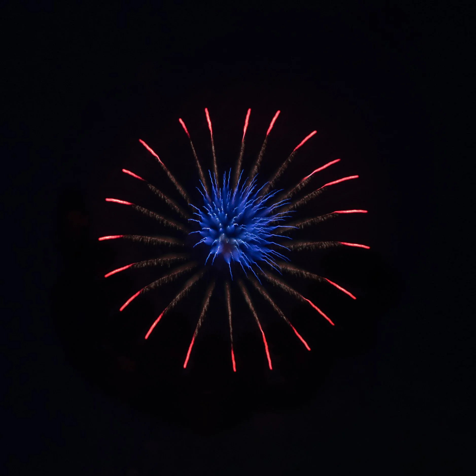 CP2A7460.jpg