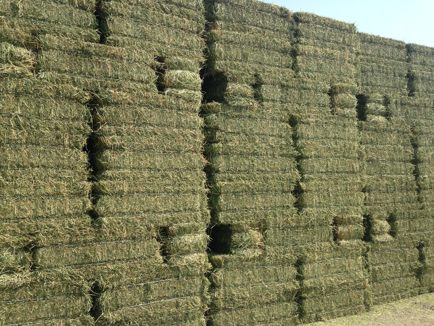 kiespijn Onweersbui Antecedent Hay for Sale — High Desert Hay