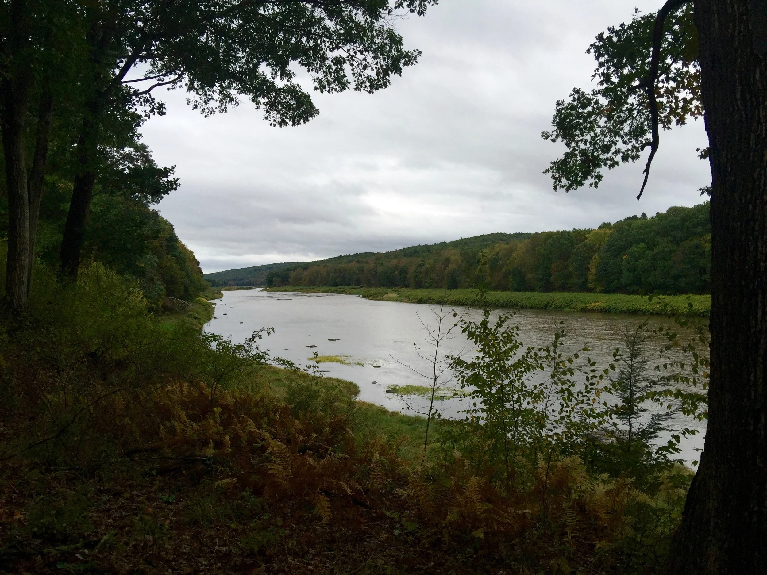 The Delaware River near Equinunk, PA