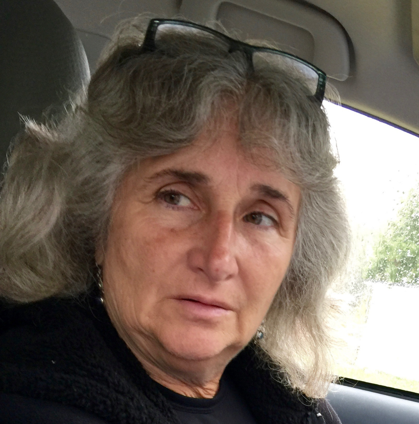 Vera Scroggins explaining vent pipes on her tour.