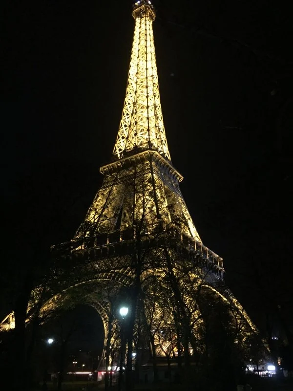 Photos from COP21, December 3-13, 2016