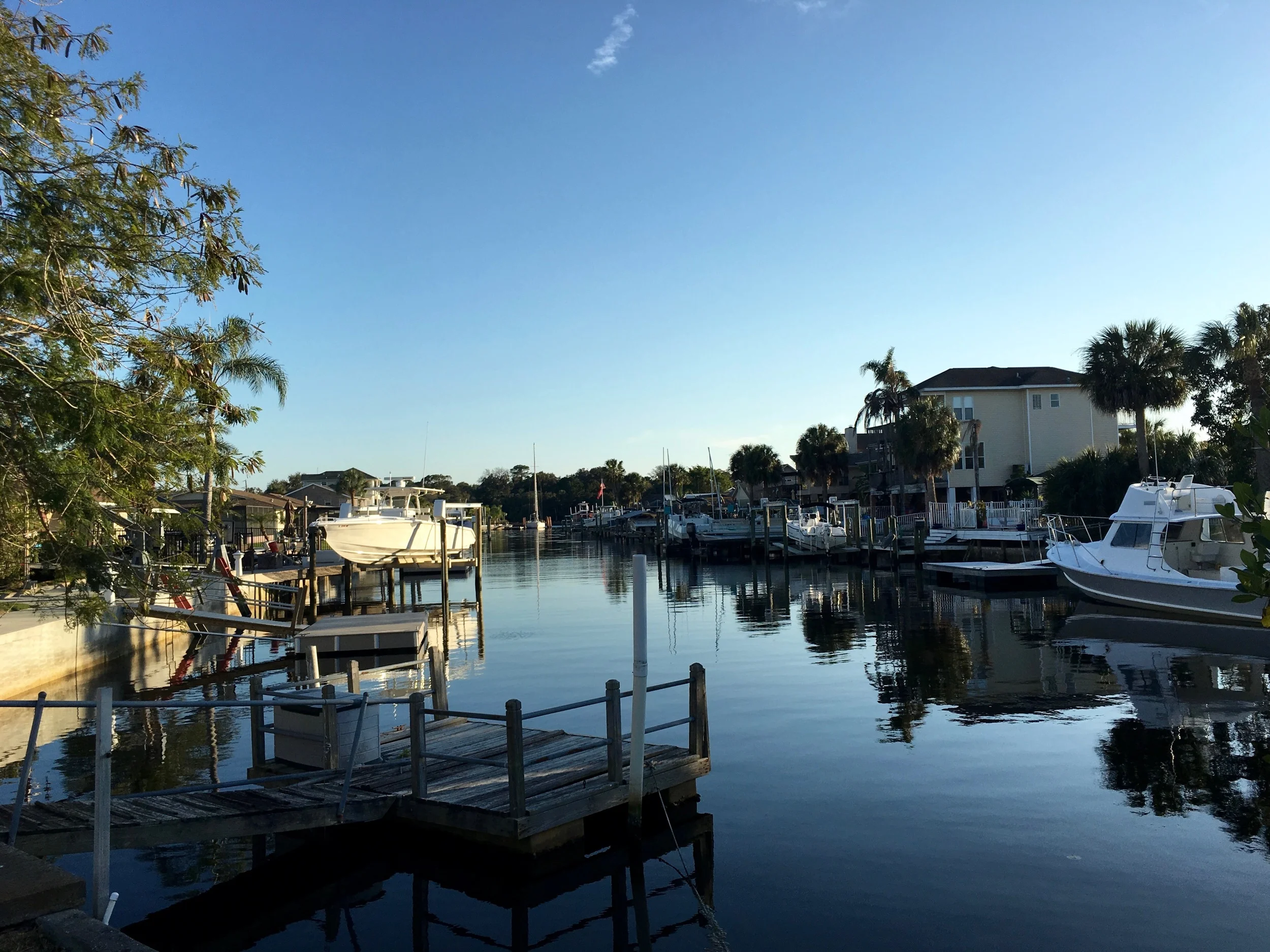 One of many countless neighborhood canals on the west coast of Florida.