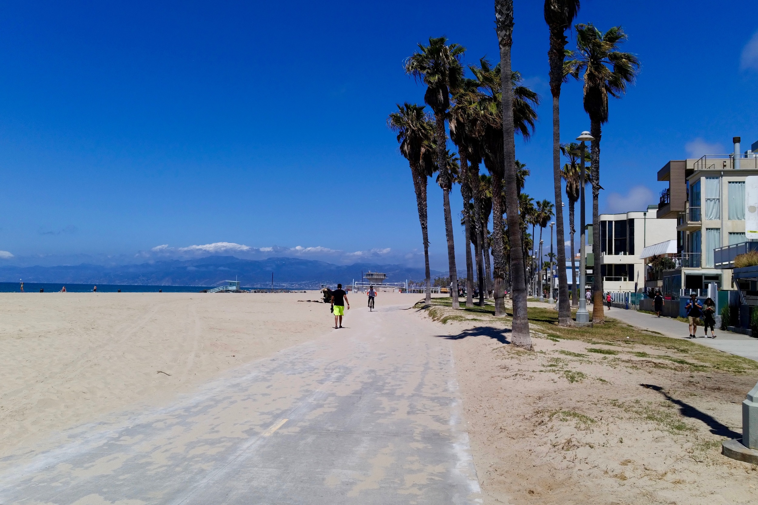 The extraordinary beachfront in Venice. 