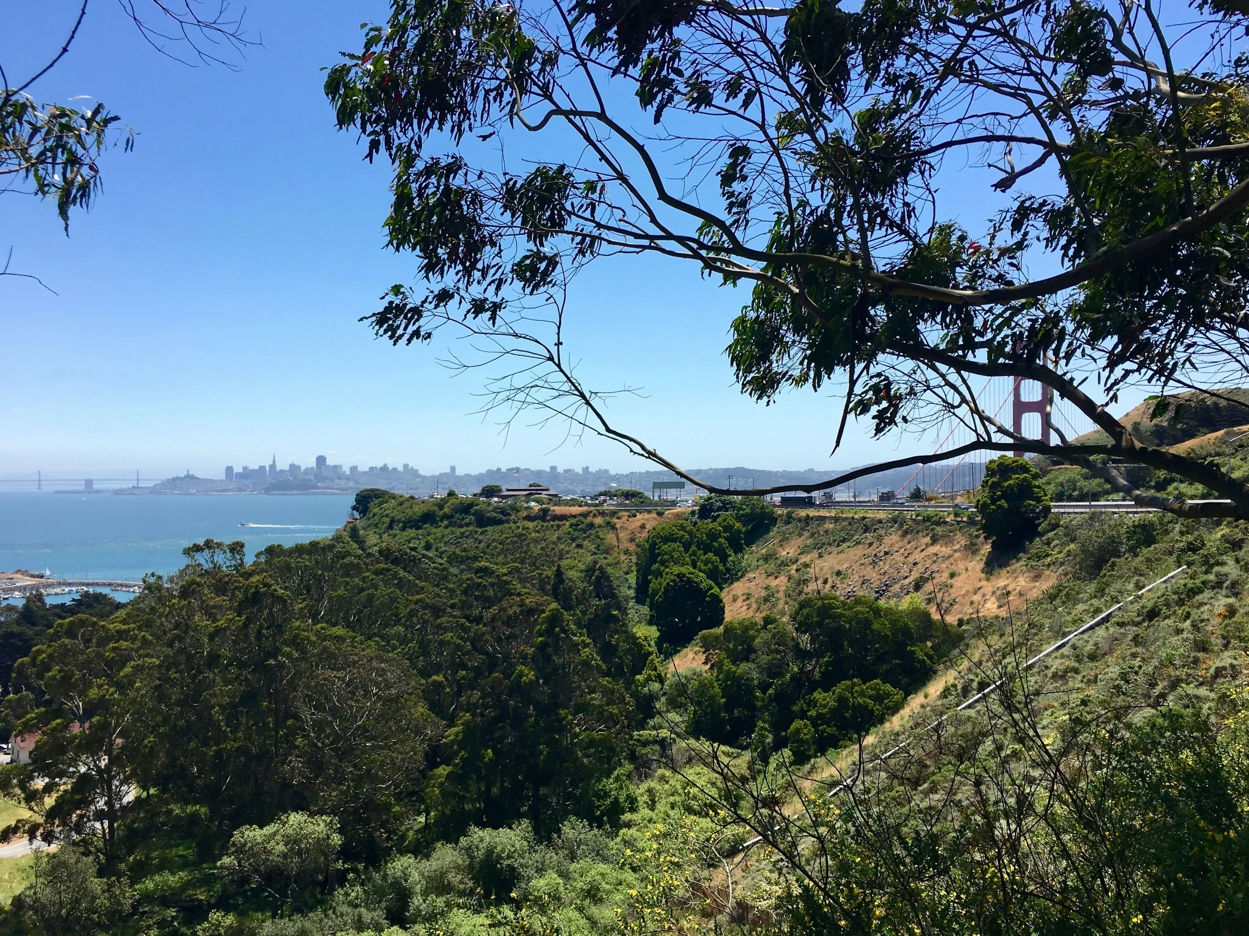 Looking south at San Francisco. The Golden Gate Bridge is just around the corner.