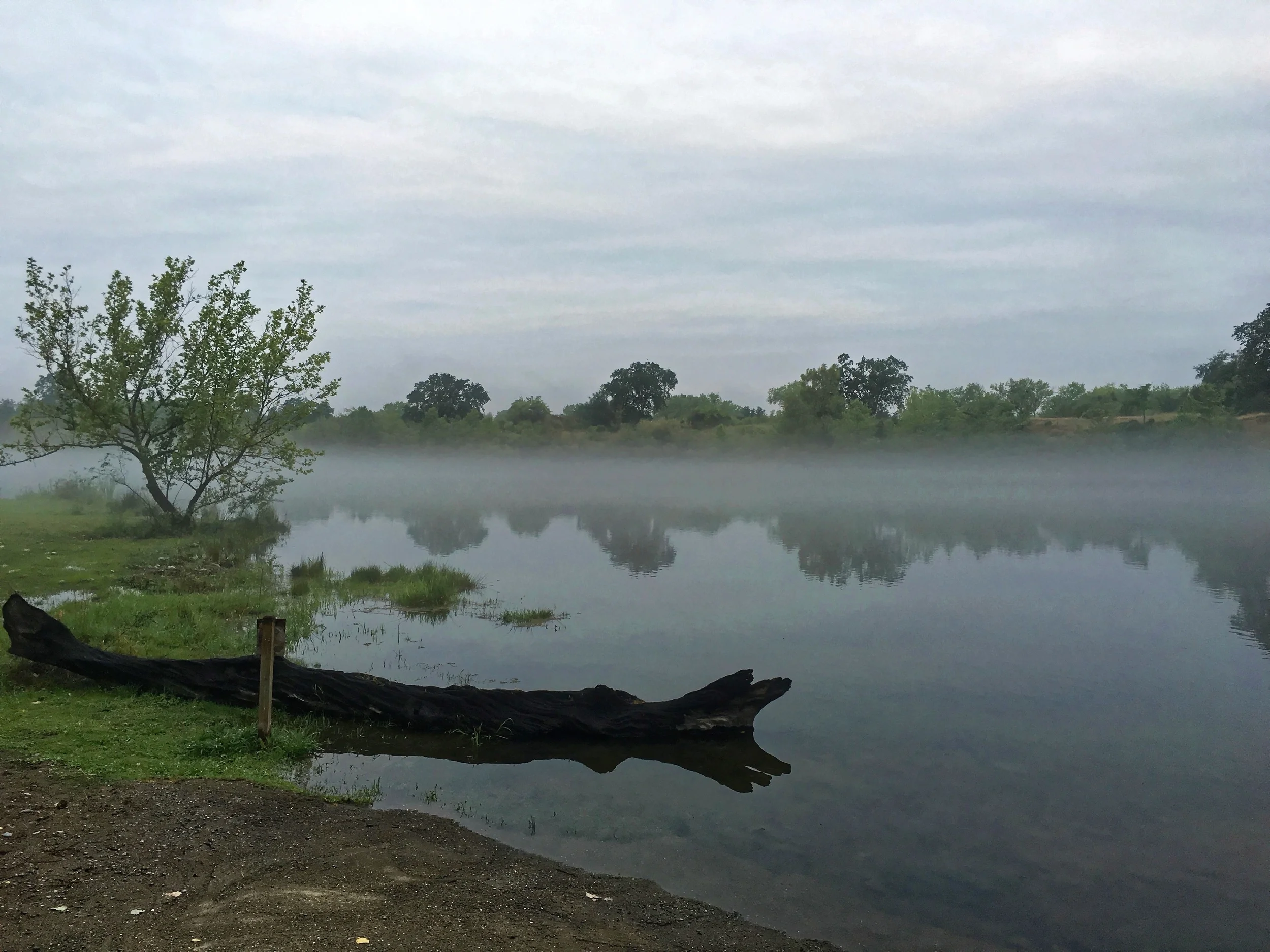 Early in the morning on the Feather River after a night of hard rain.