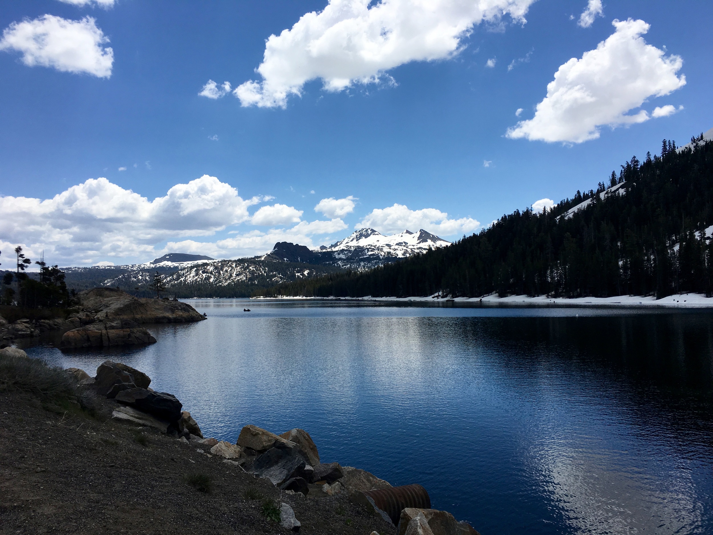 Near Carson Pass, the route I took over the Sierra. 