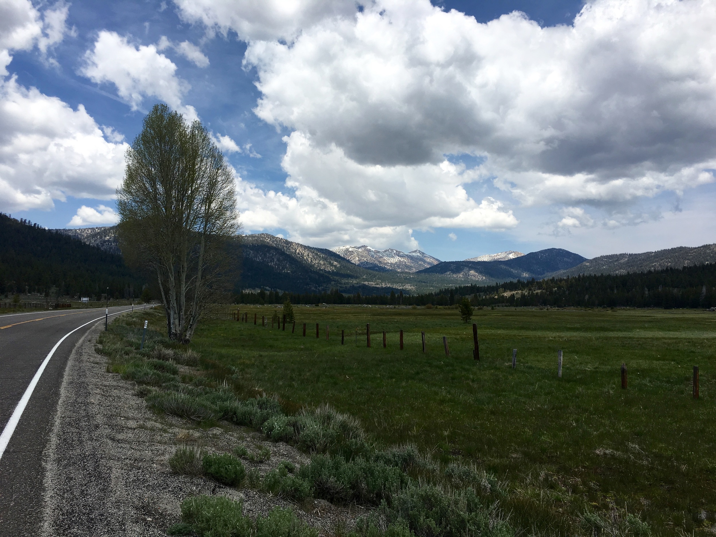 Hope Valley on the eastern slope of the Sierras heading into Nevada. 