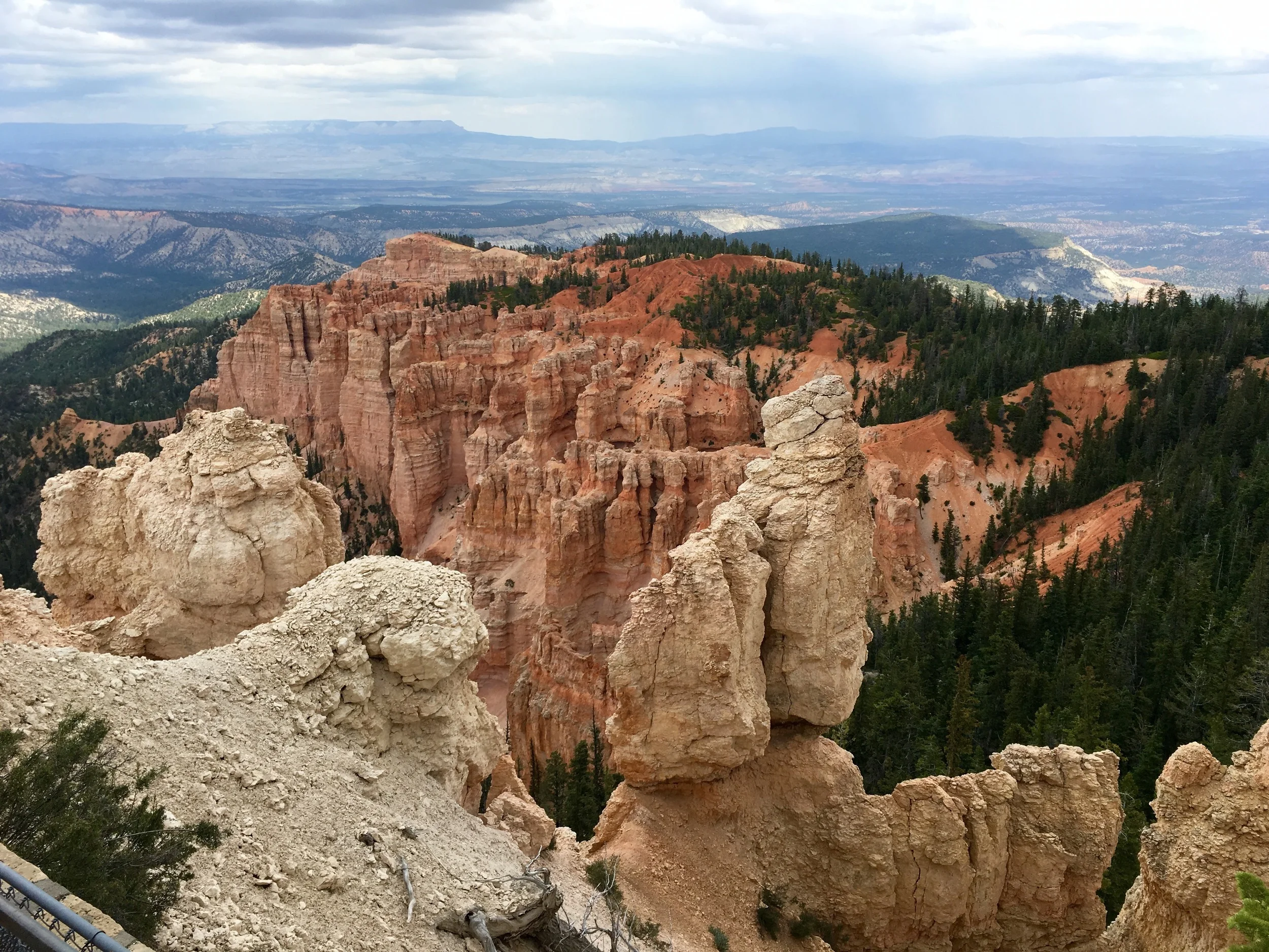 One of my favorites photos.