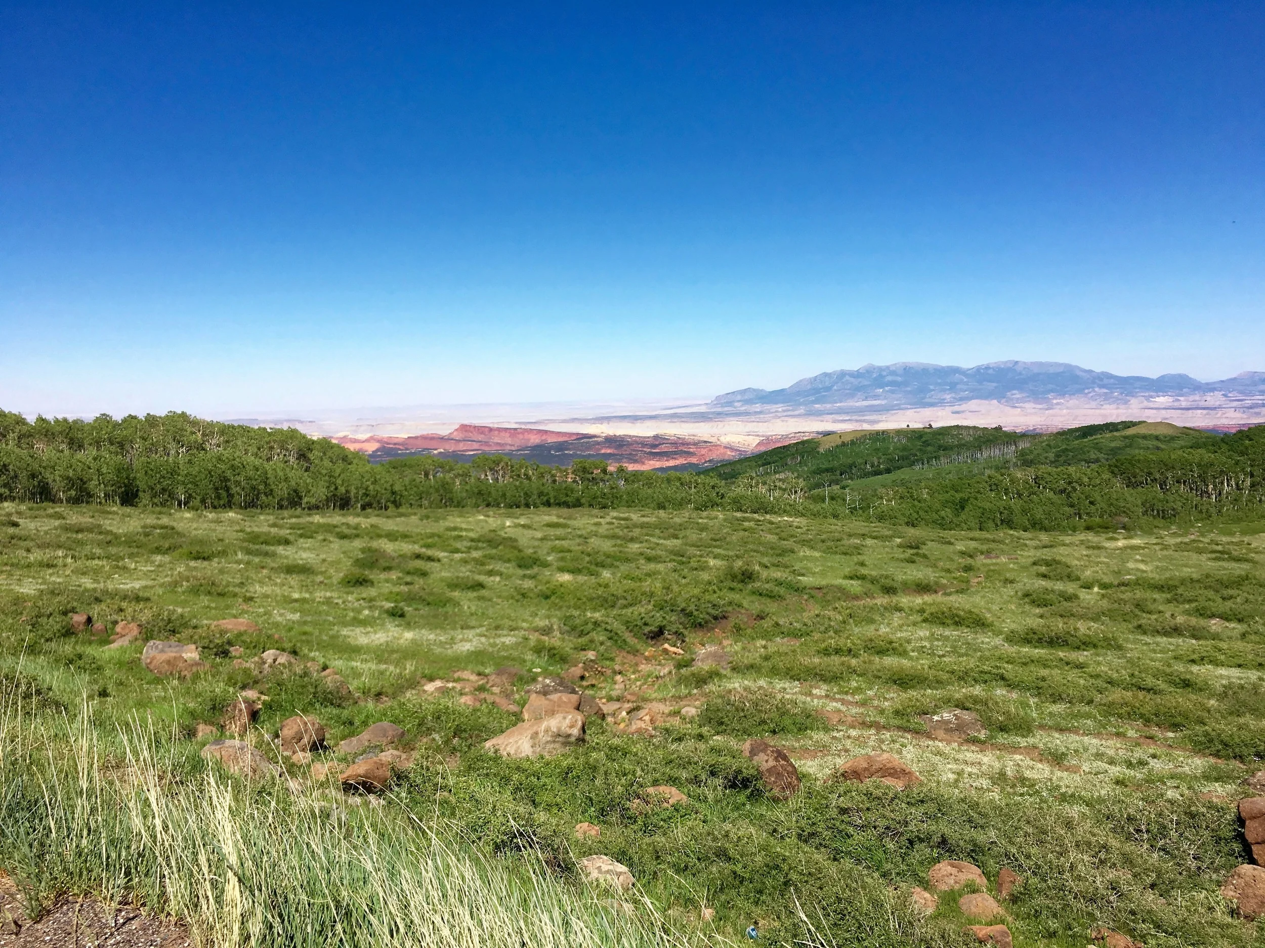 On the way down Boulder Mountain. In the distance center right are the Henry Mountains. They are notable because they were the last range in the US to be mapped (in the 1950's) and they still support wild buffalo herds - the only remaining wild herd…