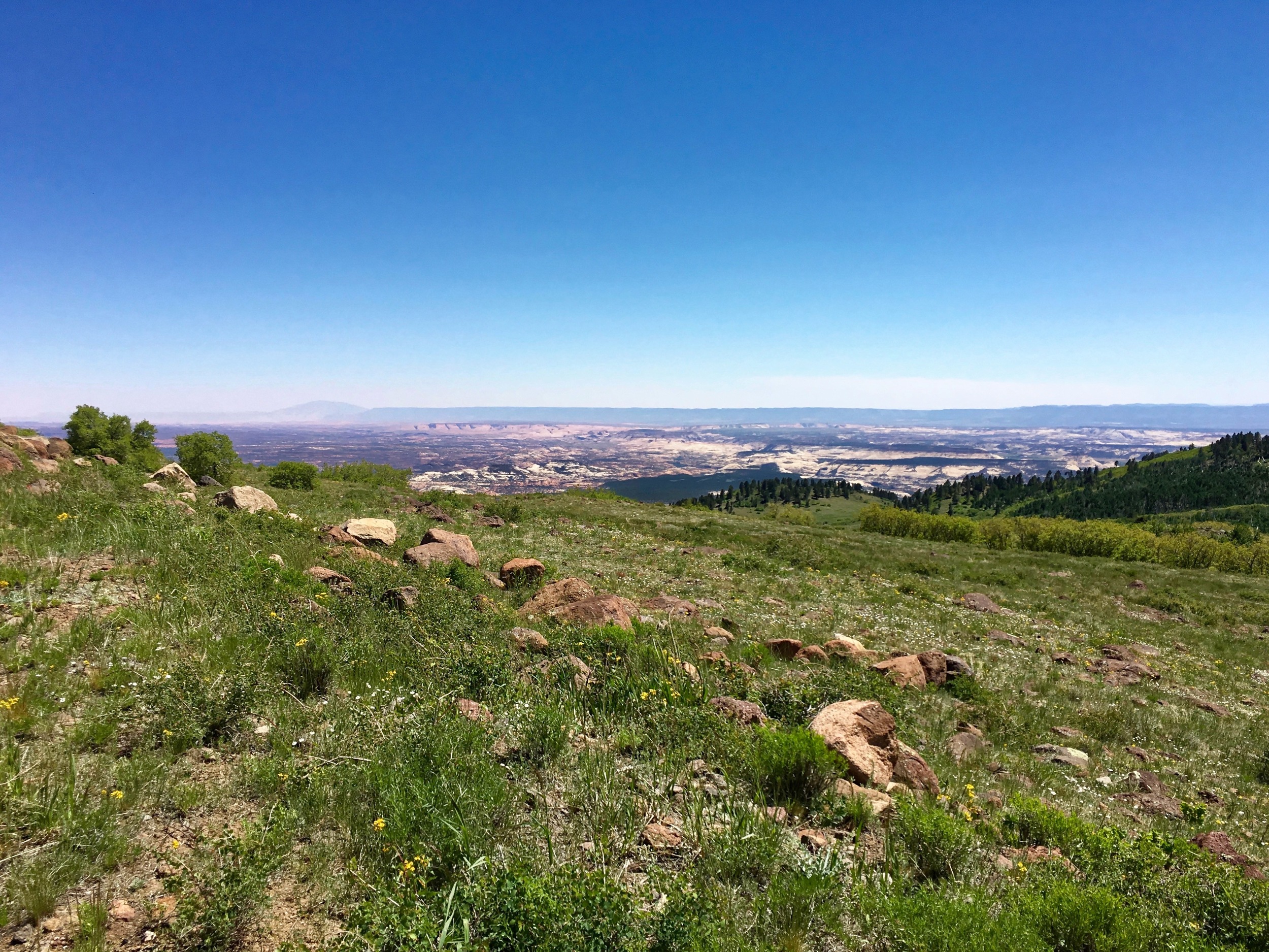 On the way up Boulder Mountain. 