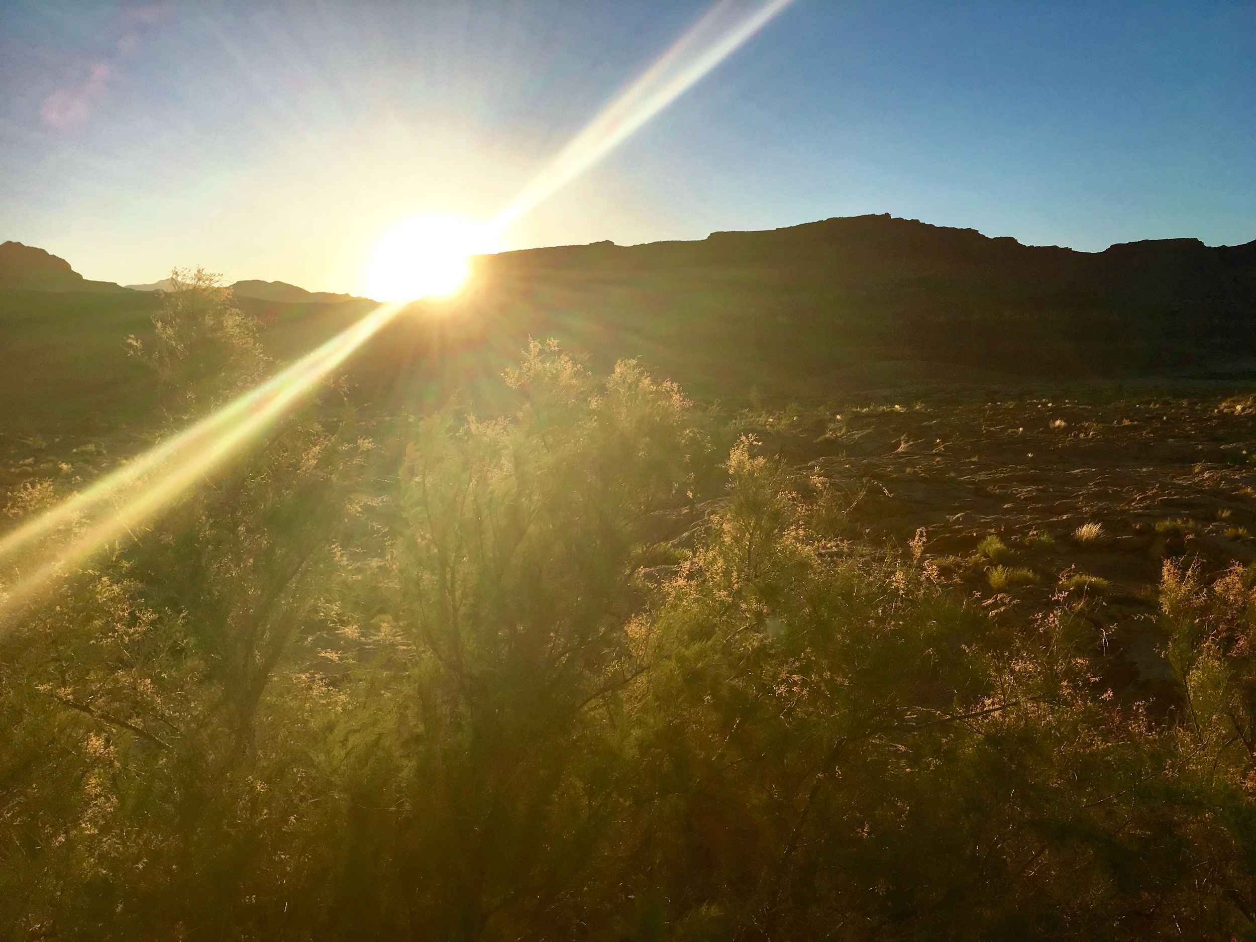 Sunset. 
