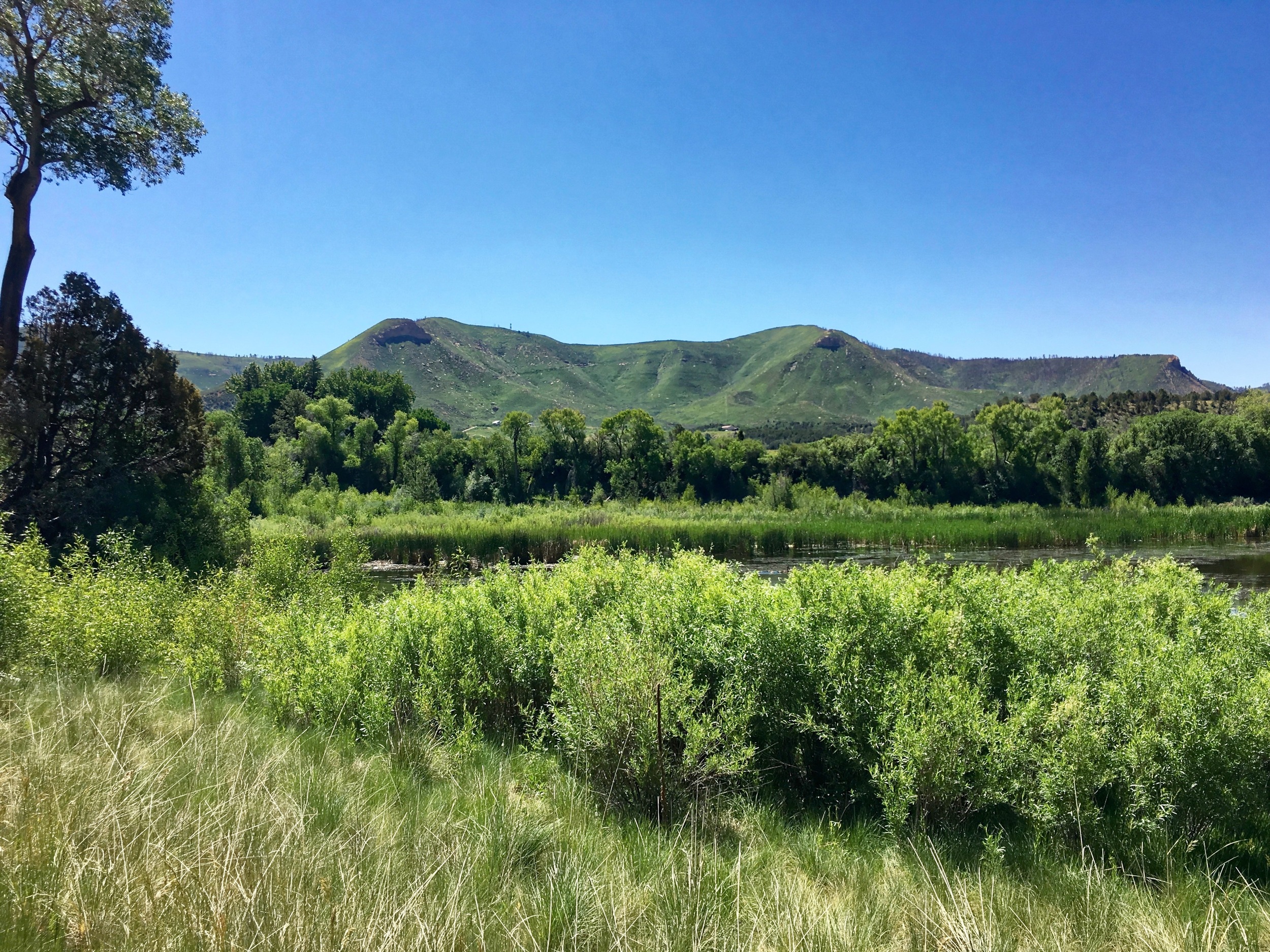 The view near the famous James Ranch, where restorative agriculture is practiced by 3 generations of the James family