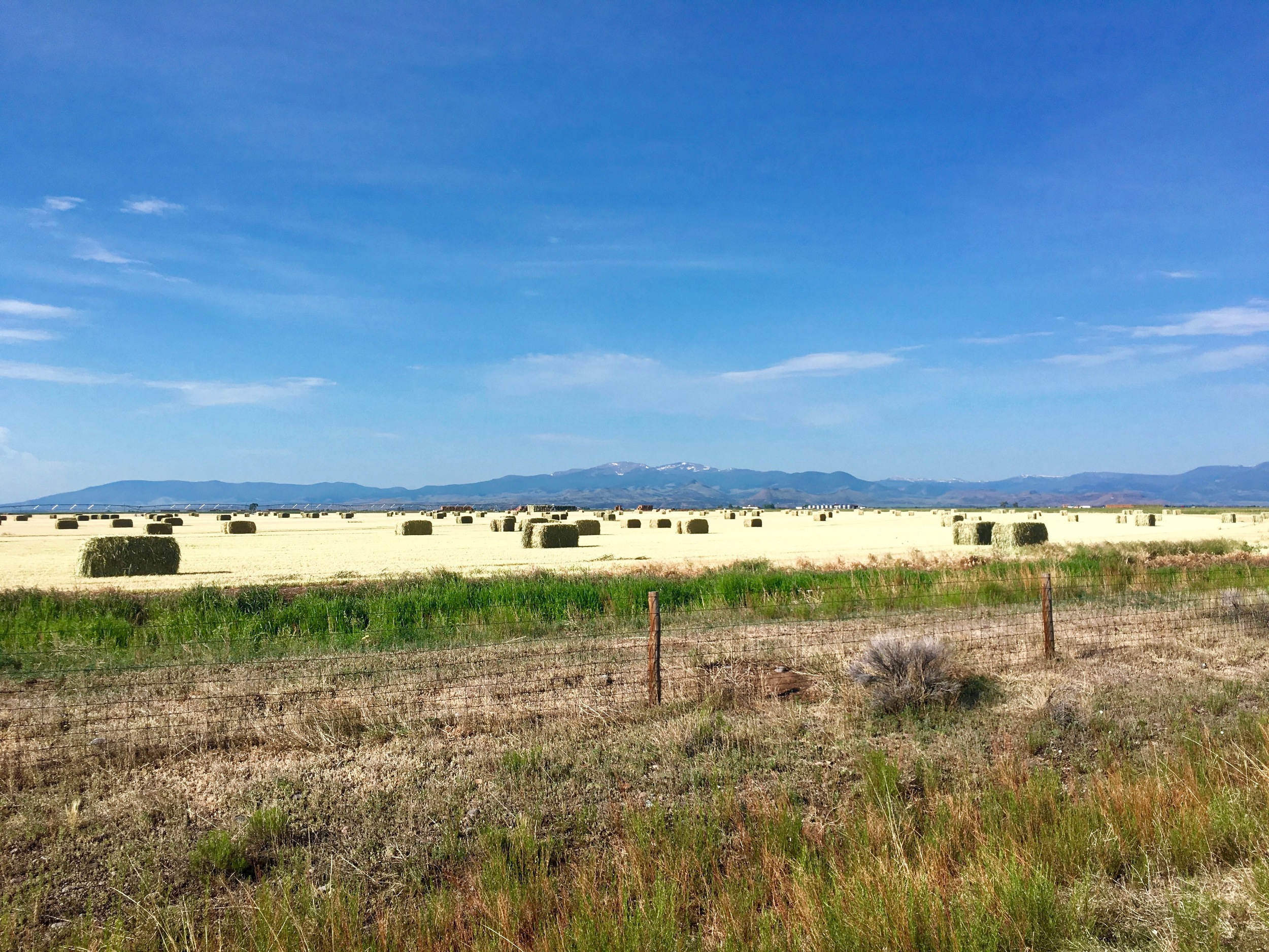 A ranch near Pagosa Springs. 