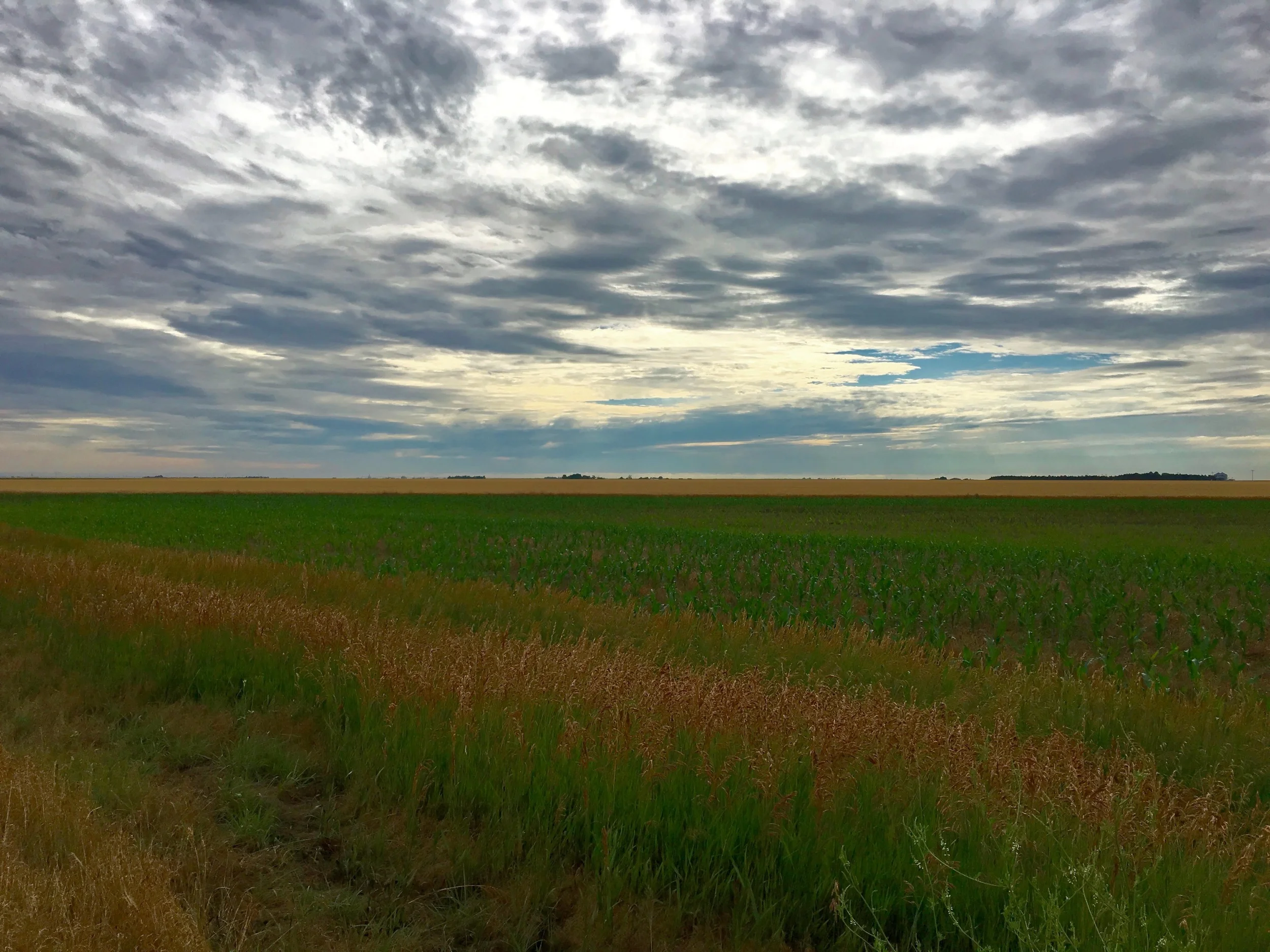 THE MIDWEST: GRID Alternatives