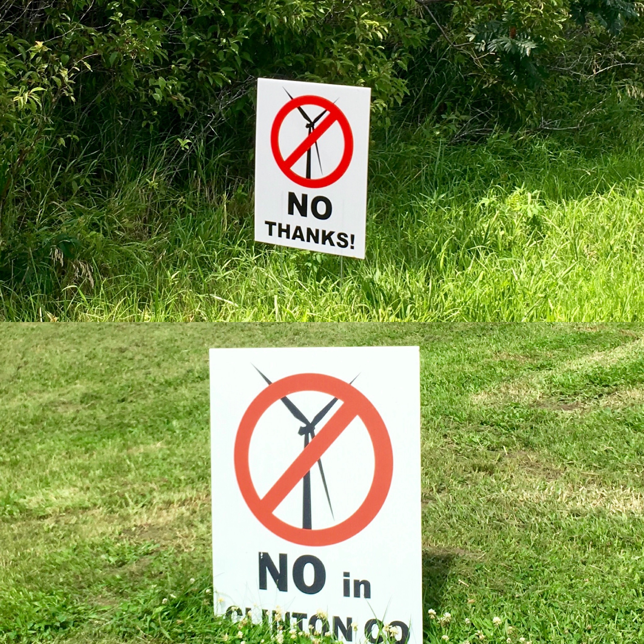 I was surprised to see these. 