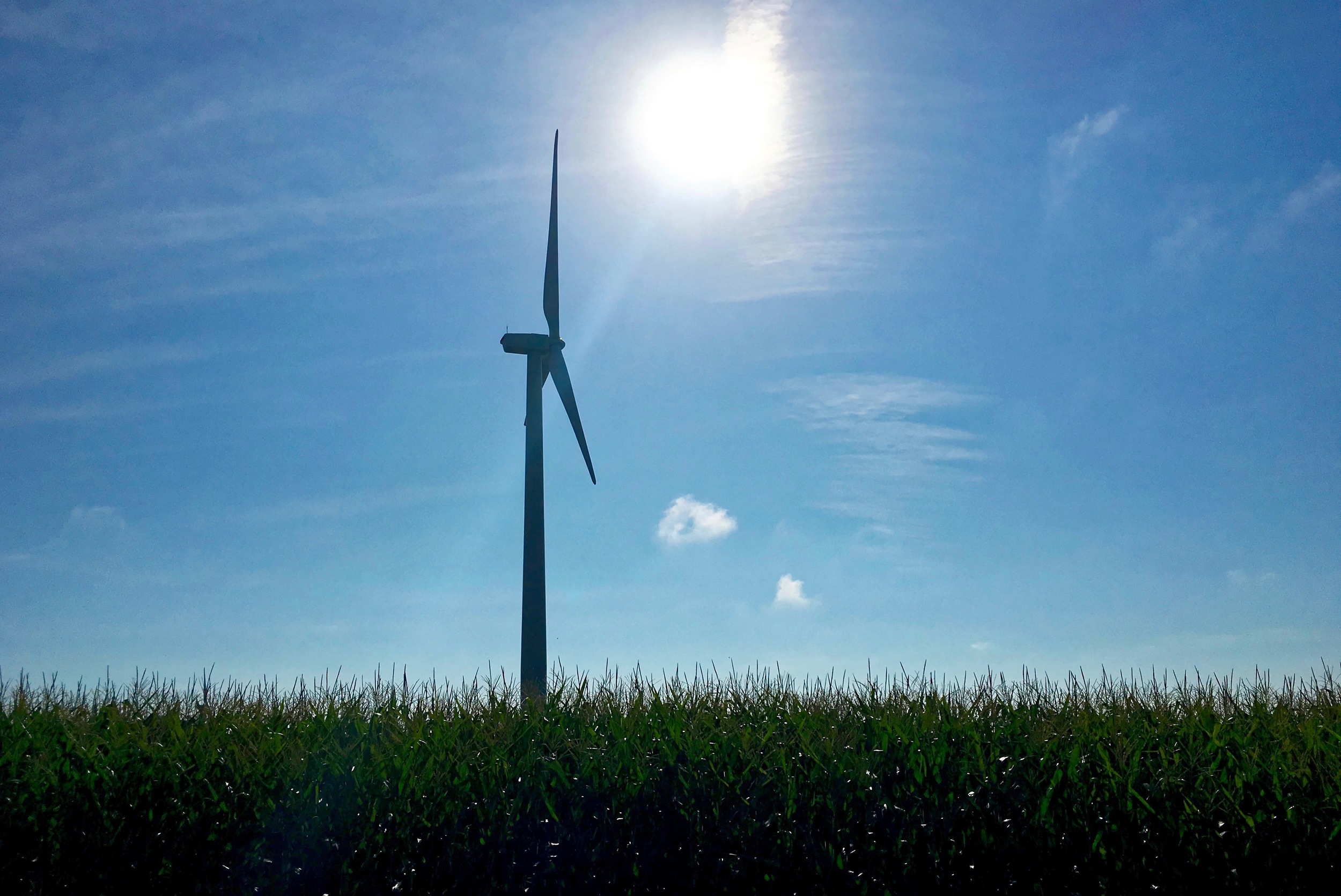 In eastern Illinois I passed a handful of wind farms in corn fields. They can be quite majestic. 