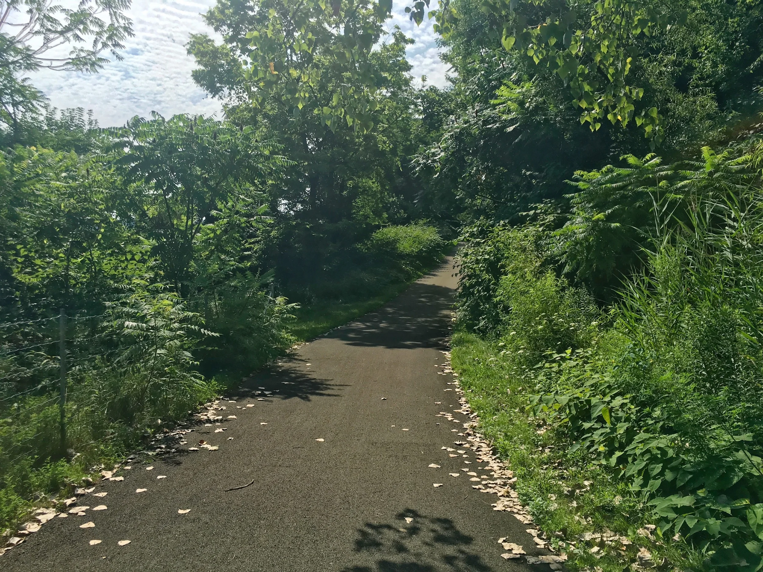The GAP Trail just south of Pittsburgh.&nbsp;