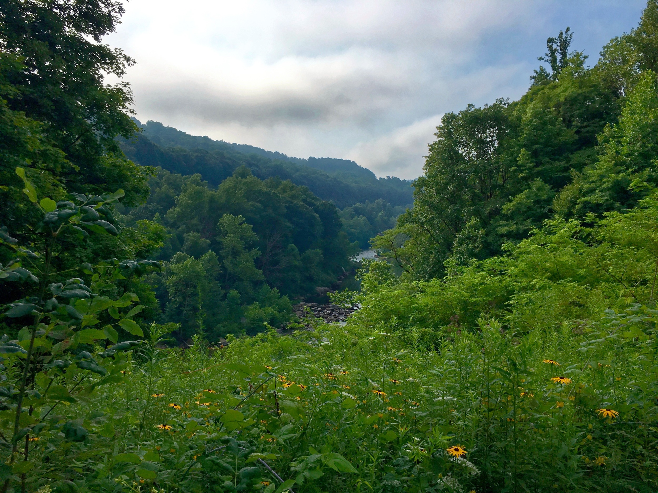 This view was pointed out by a cycling companion (pictured below) who joined me for about 20 miles in the morning on the way into Ohiopyle (yes, that really is the name of the town), where I enjoyed a terrific breakfast buffet at the Market Cafe. 