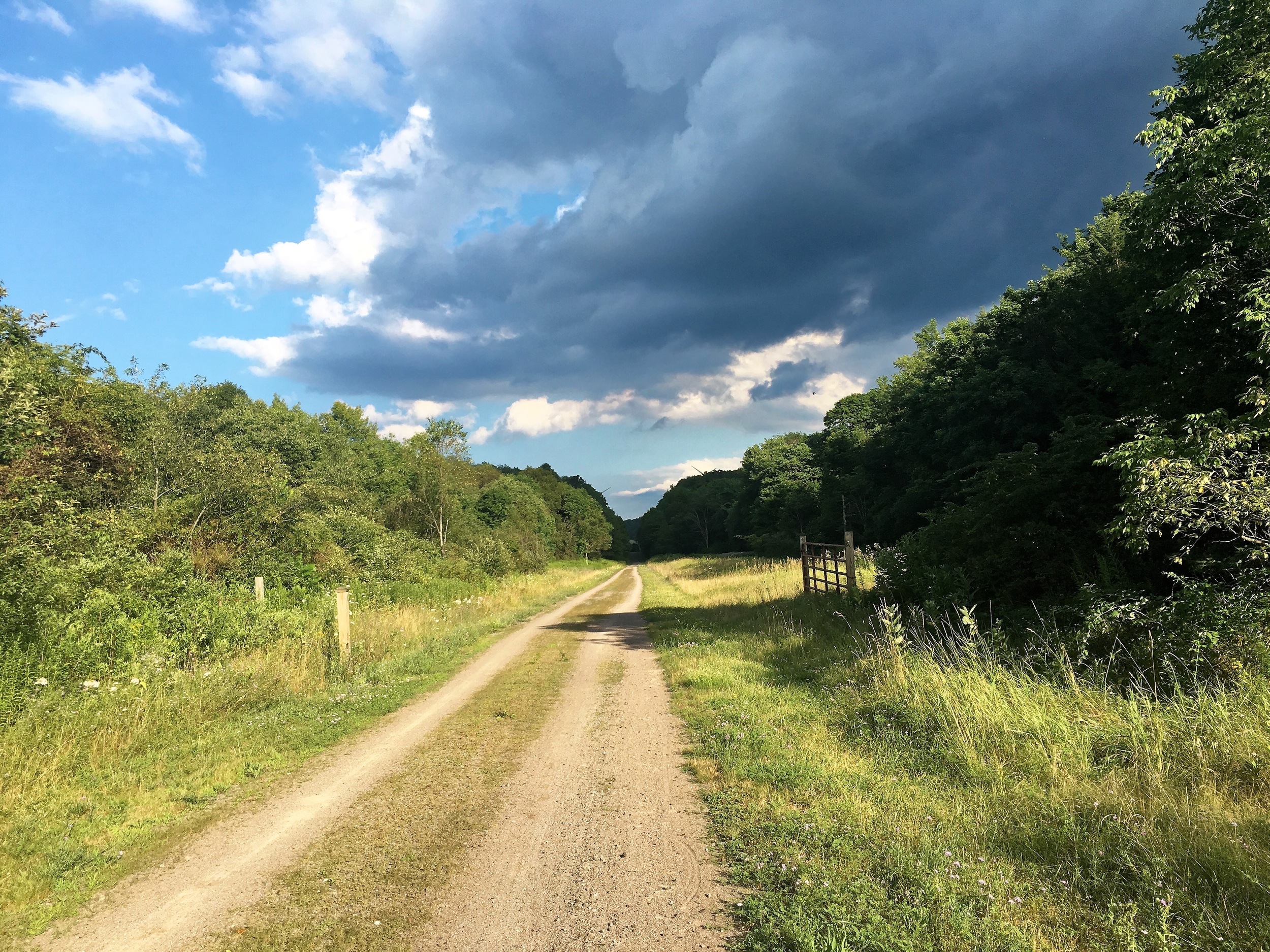 The GAP trial in the late afternoon as I approached the Savage Tunnel, a 1/4 mile long tunnel through the last mountain before the Eastern Continental Divide.&nbsp;