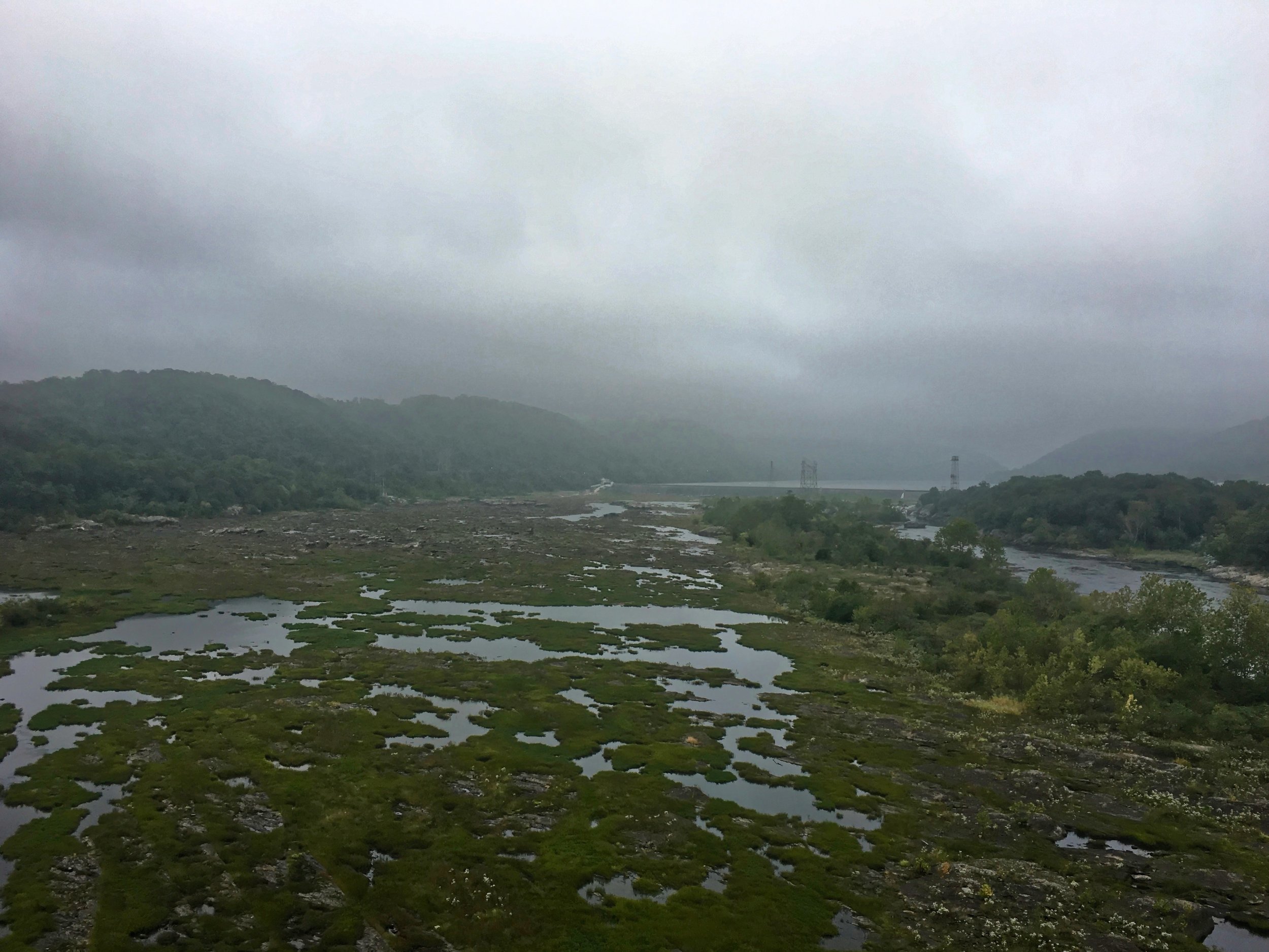 Off a bridge in the rain
