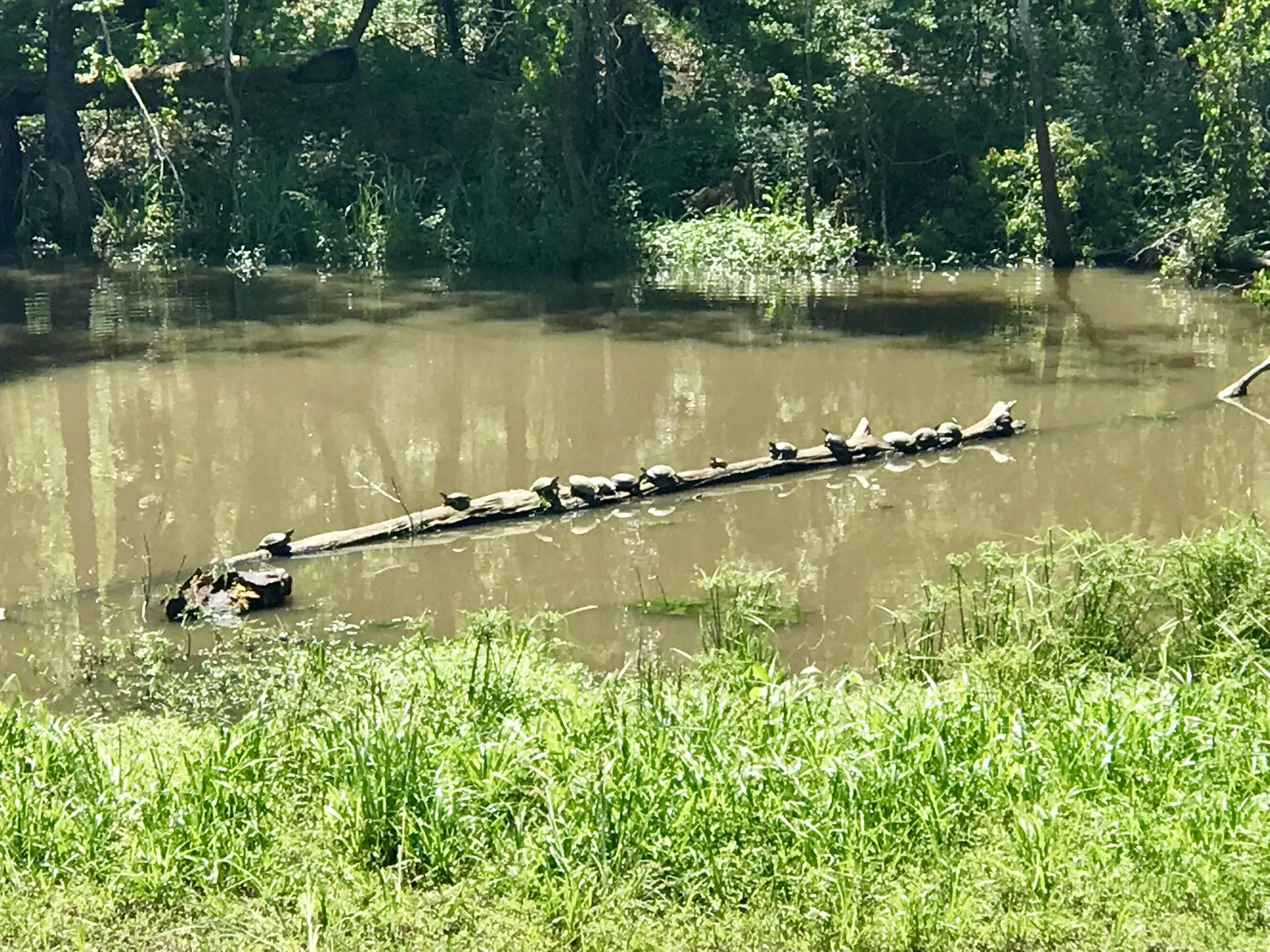 Southern Tier, Post 37