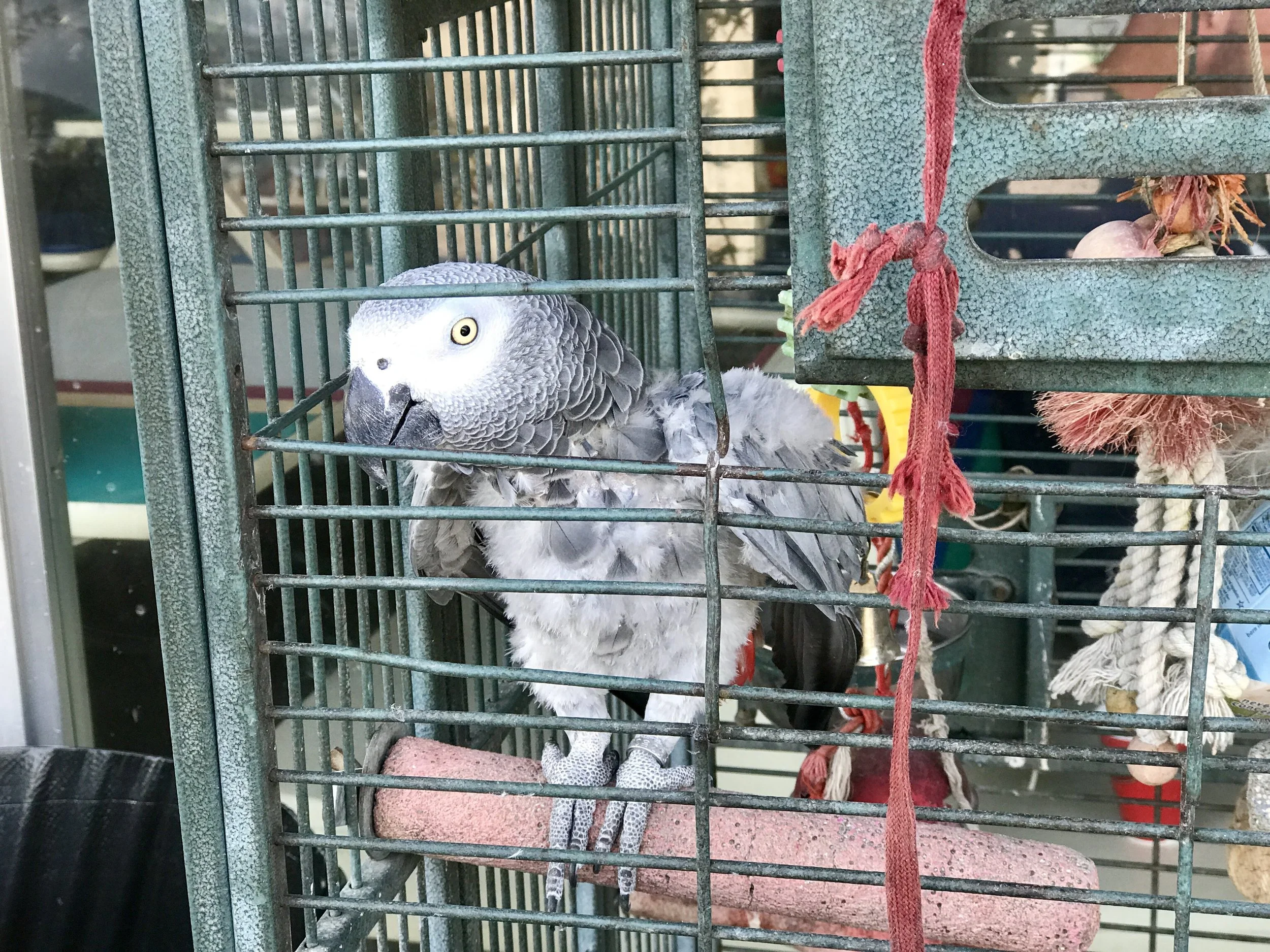 Southern Tier, Post 36